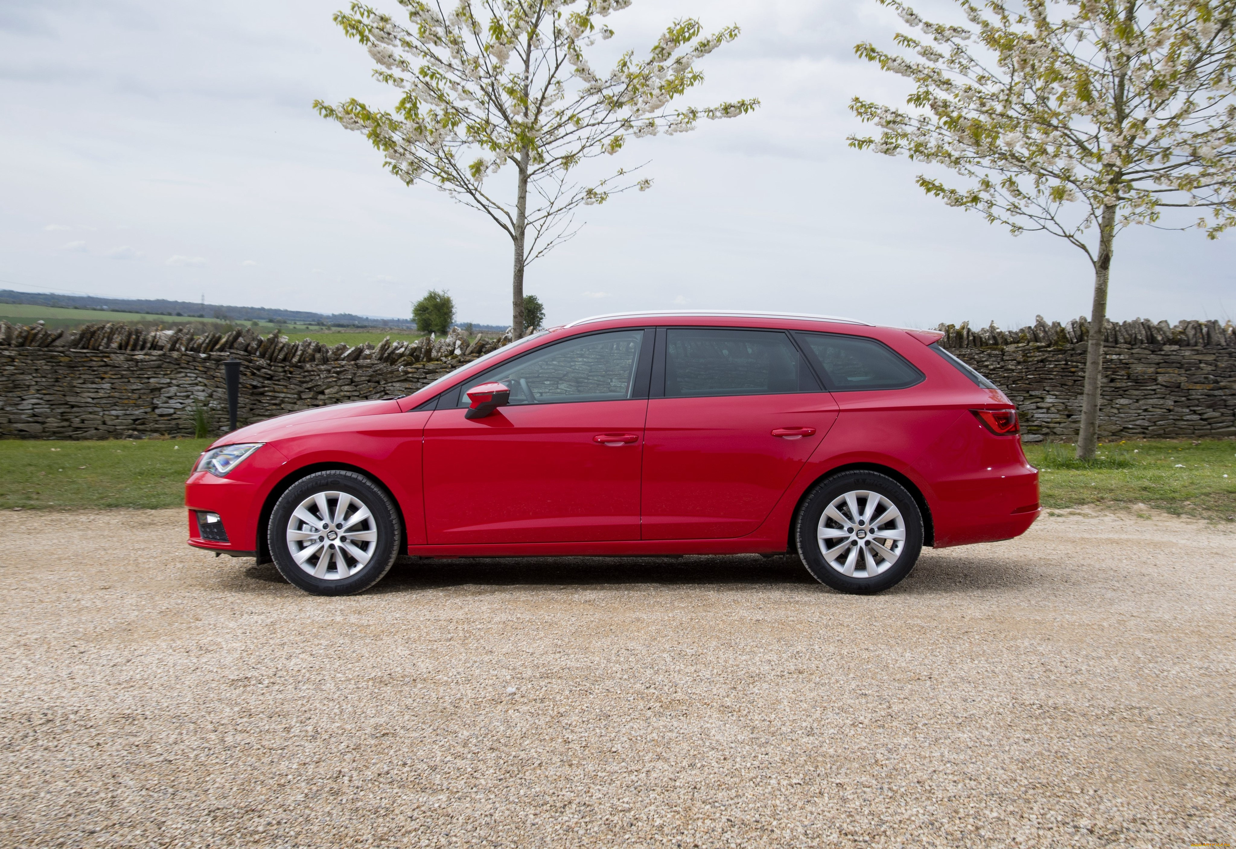 автомобили, seat