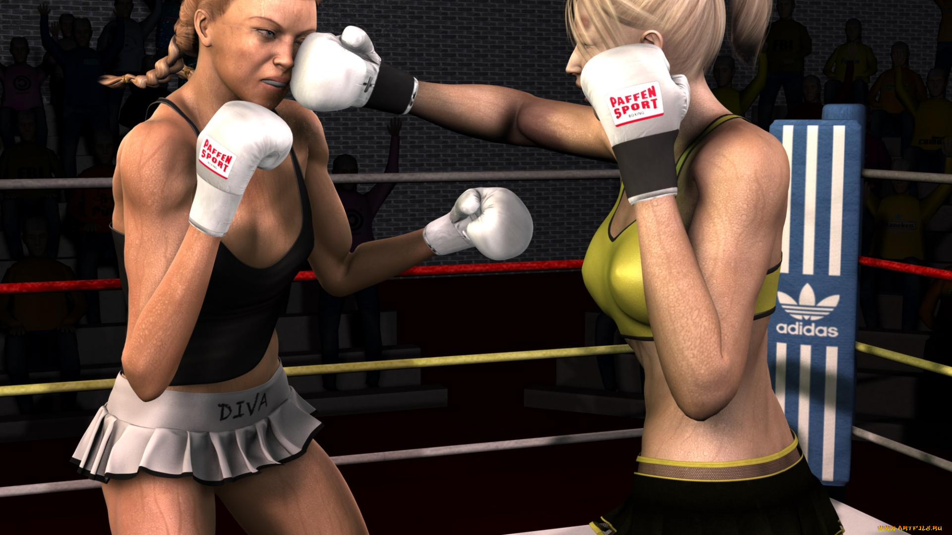 3д, графика, спорт, , sport, бокс, ринг, фон, взгляд, девушки