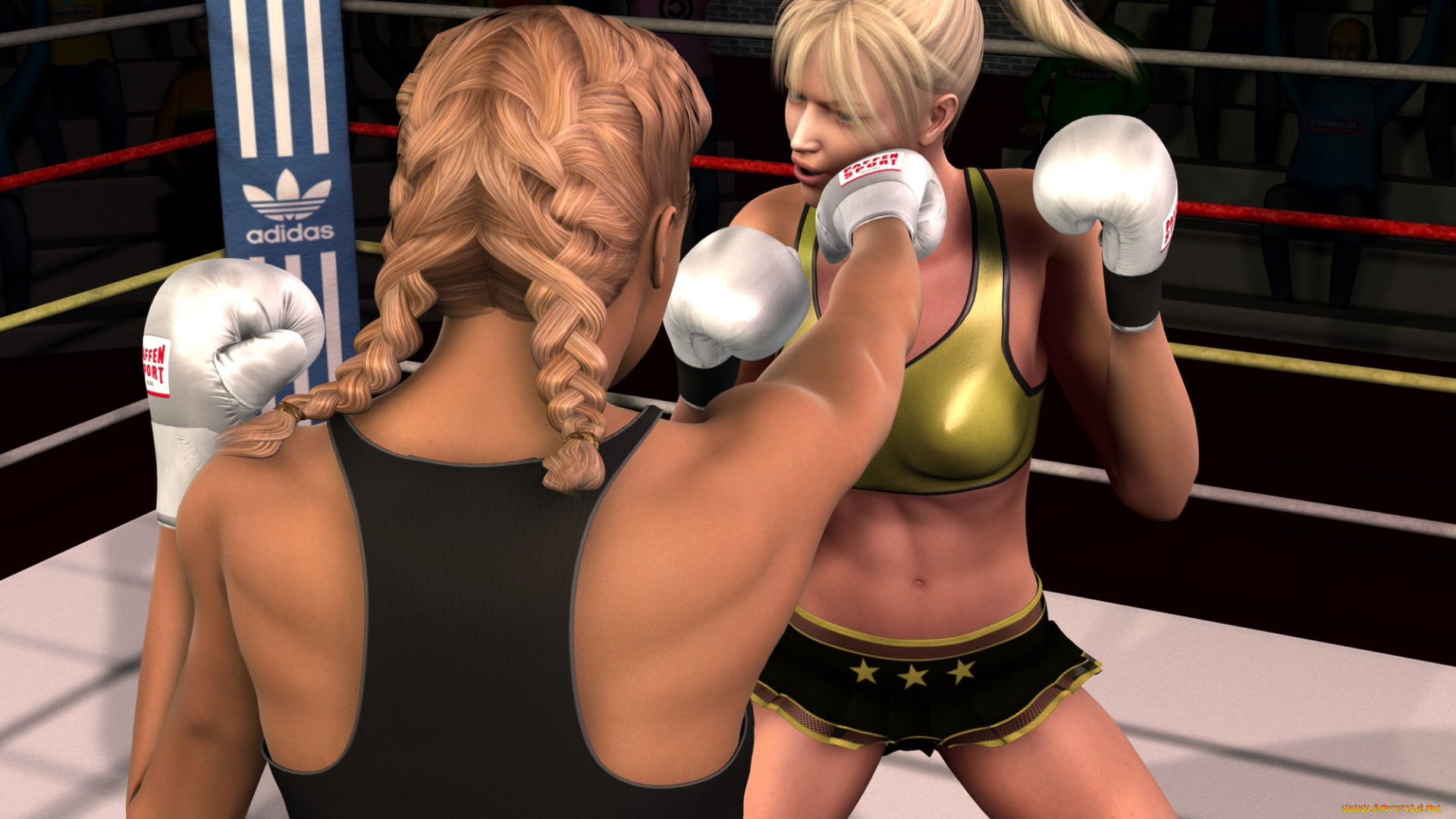 3д, графика, спорт, , sport, фон, взгляд, бокс, ринг, девушки