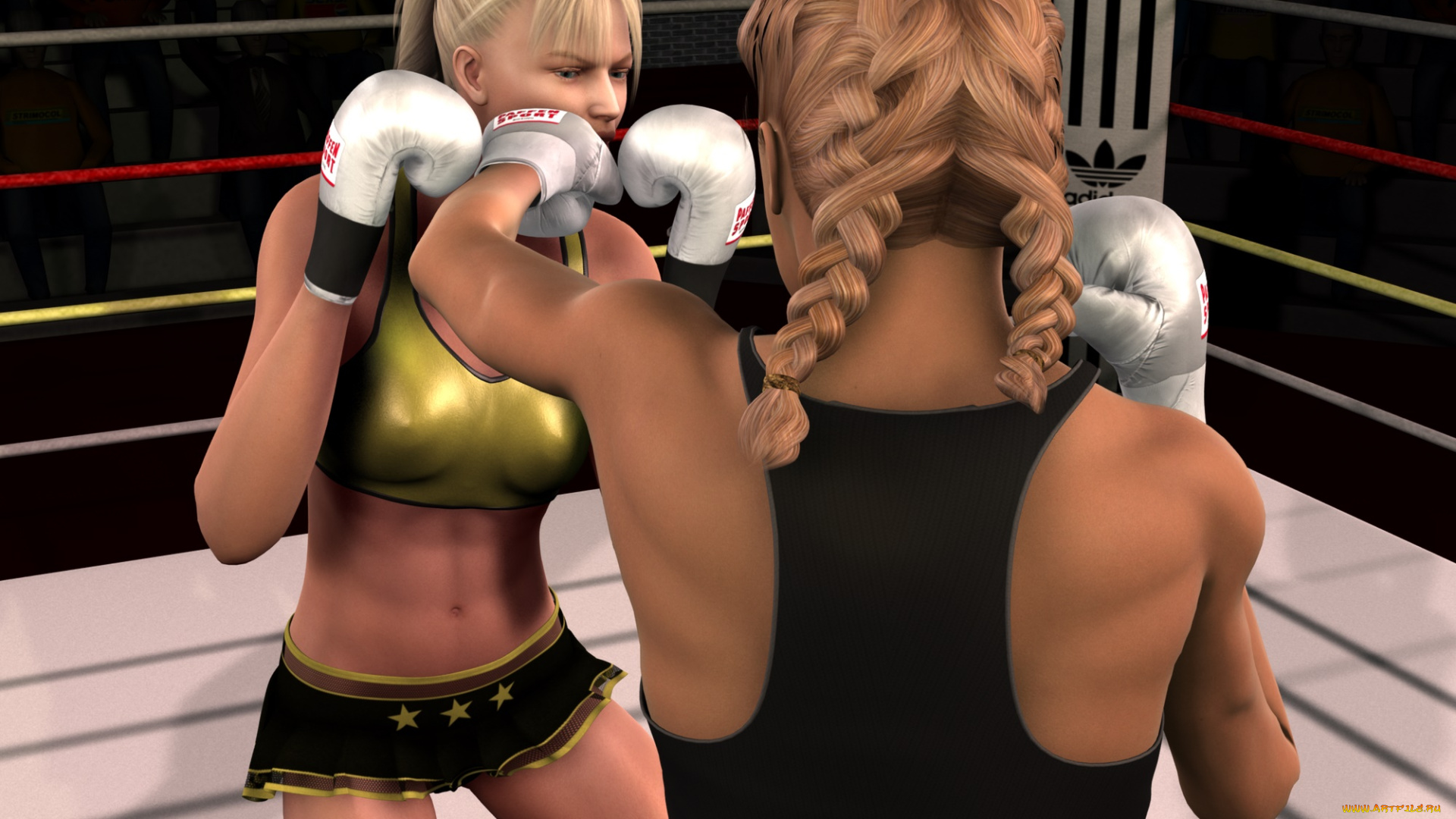 3д, графика, спорт, , sport, ринг, бокс, фон, взгляд, девушки