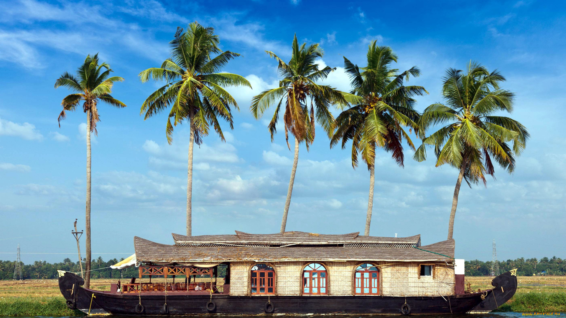 корабли, баржи, пальмы