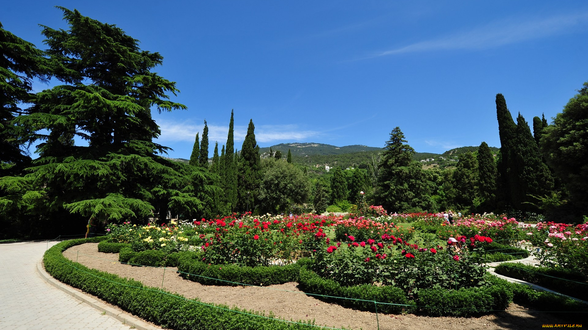 природа, парк, клумбы