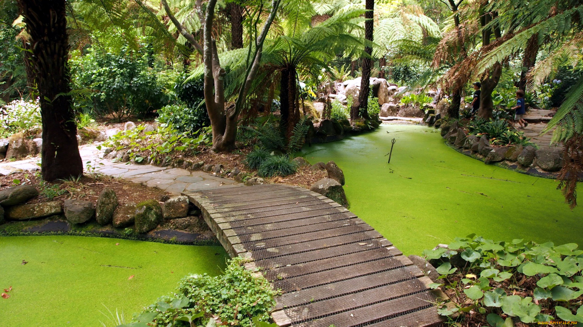 природа, парк, мостик, пруд