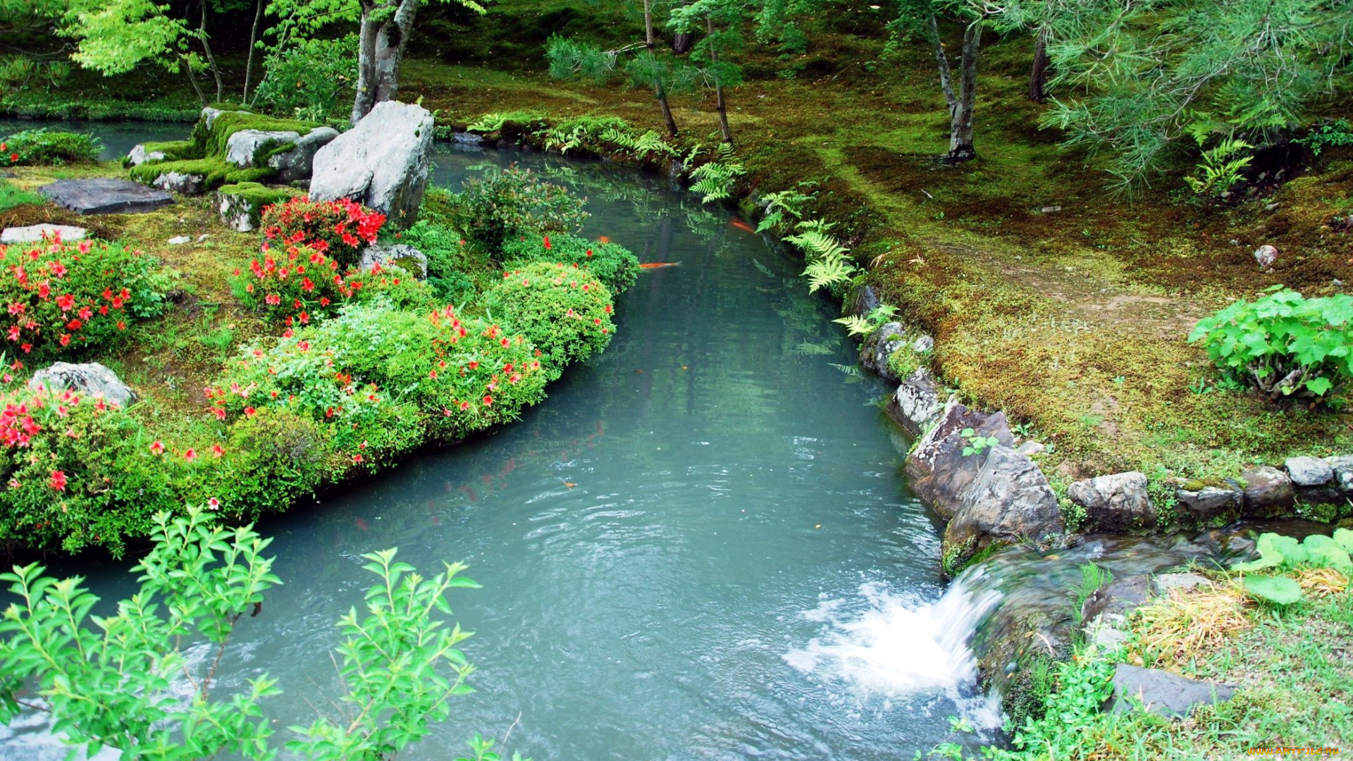 природа, парк, пруд