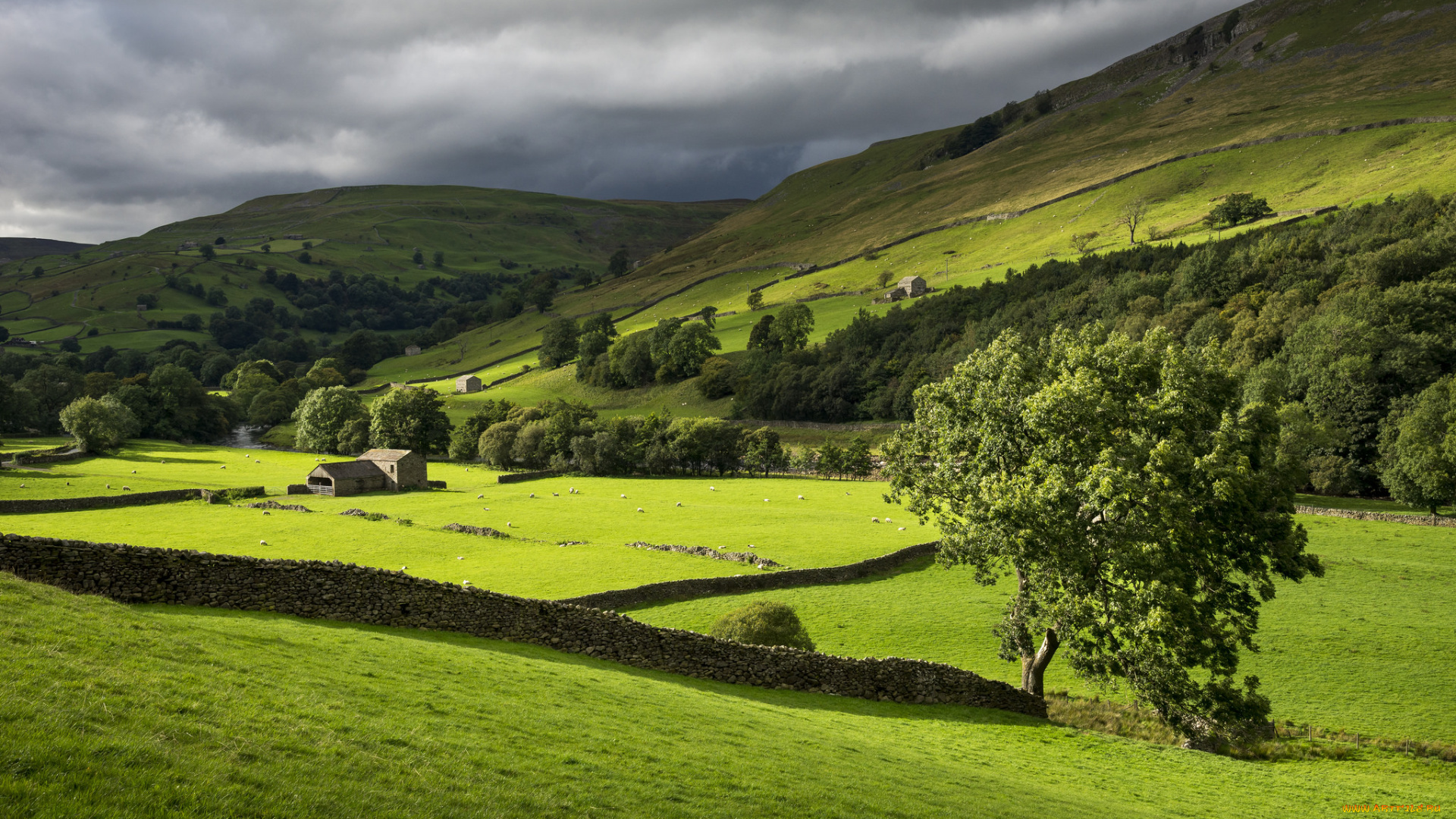 природа, пейзажи, простор