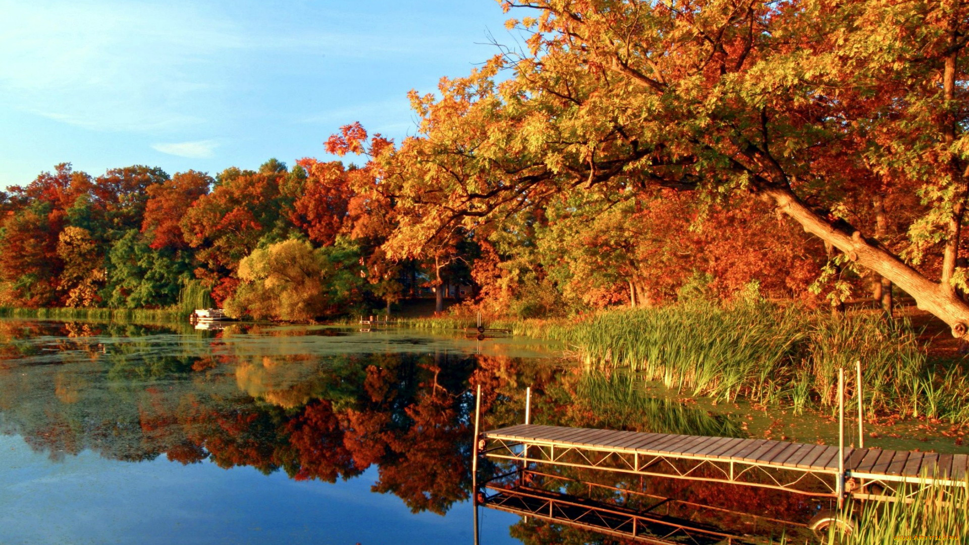 природа, реки, озера, листопад, река, осень