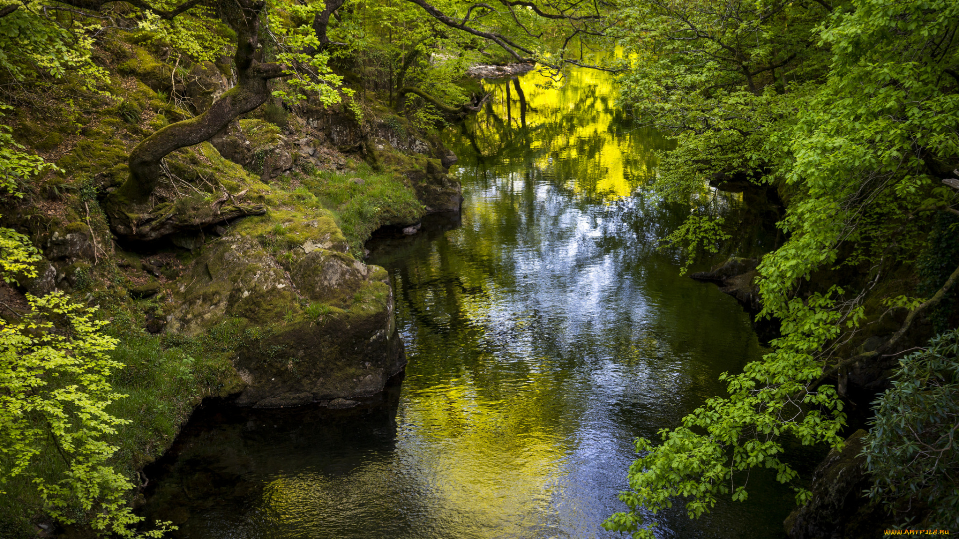 природа, реки, озера, простор