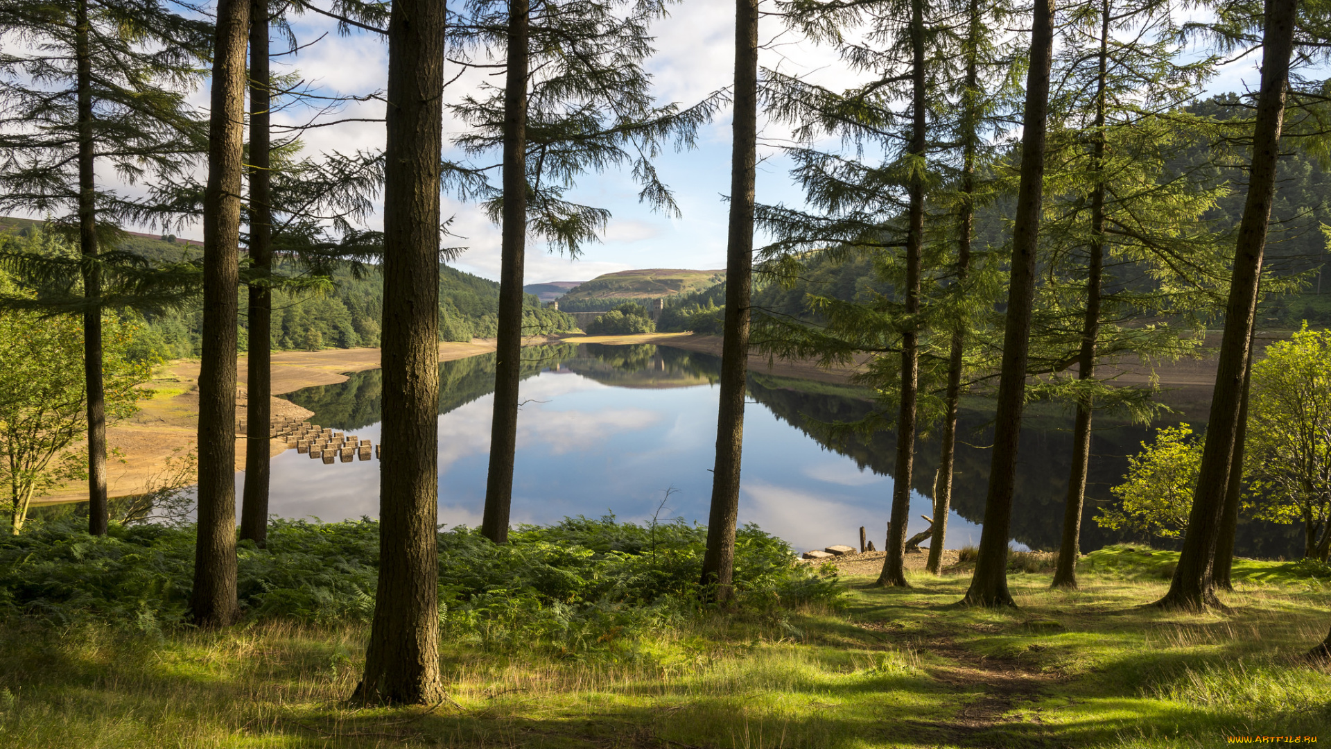 природа, реки, озера, простор