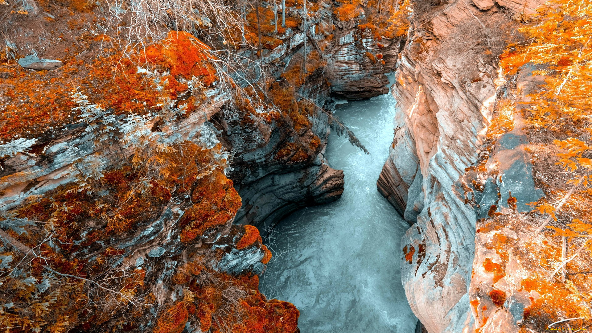 природа, реки, озера, ущелье, река, осень