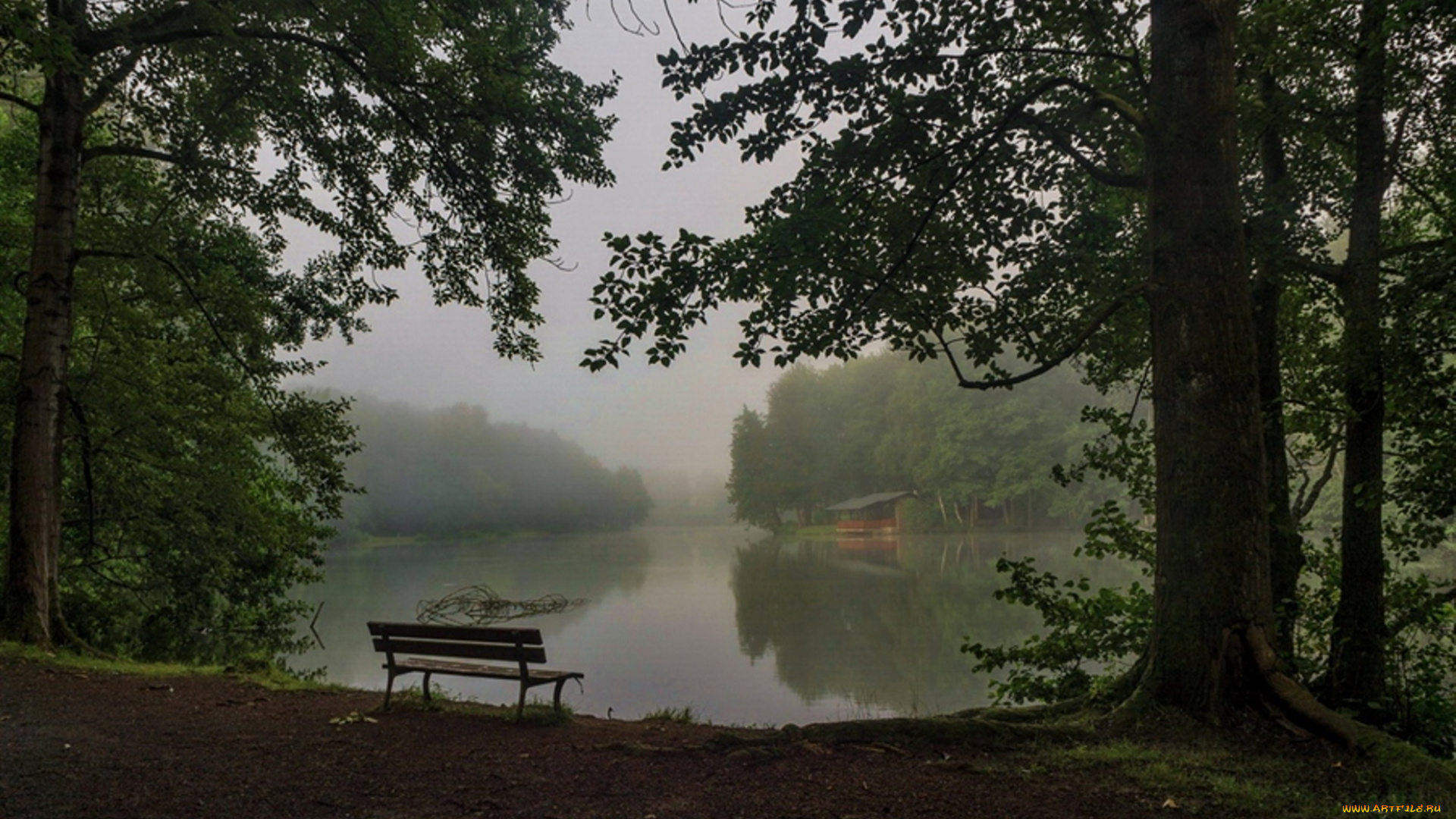 природа, реки, озера, утро, лавочка, водоем, озеро