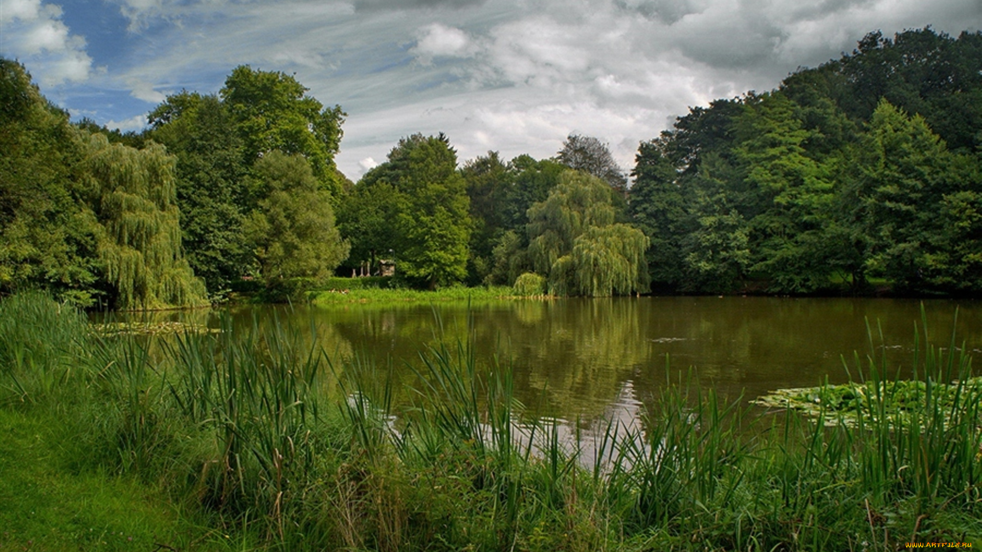 природа, реки, озера, водоем, лето, деревья, озеро