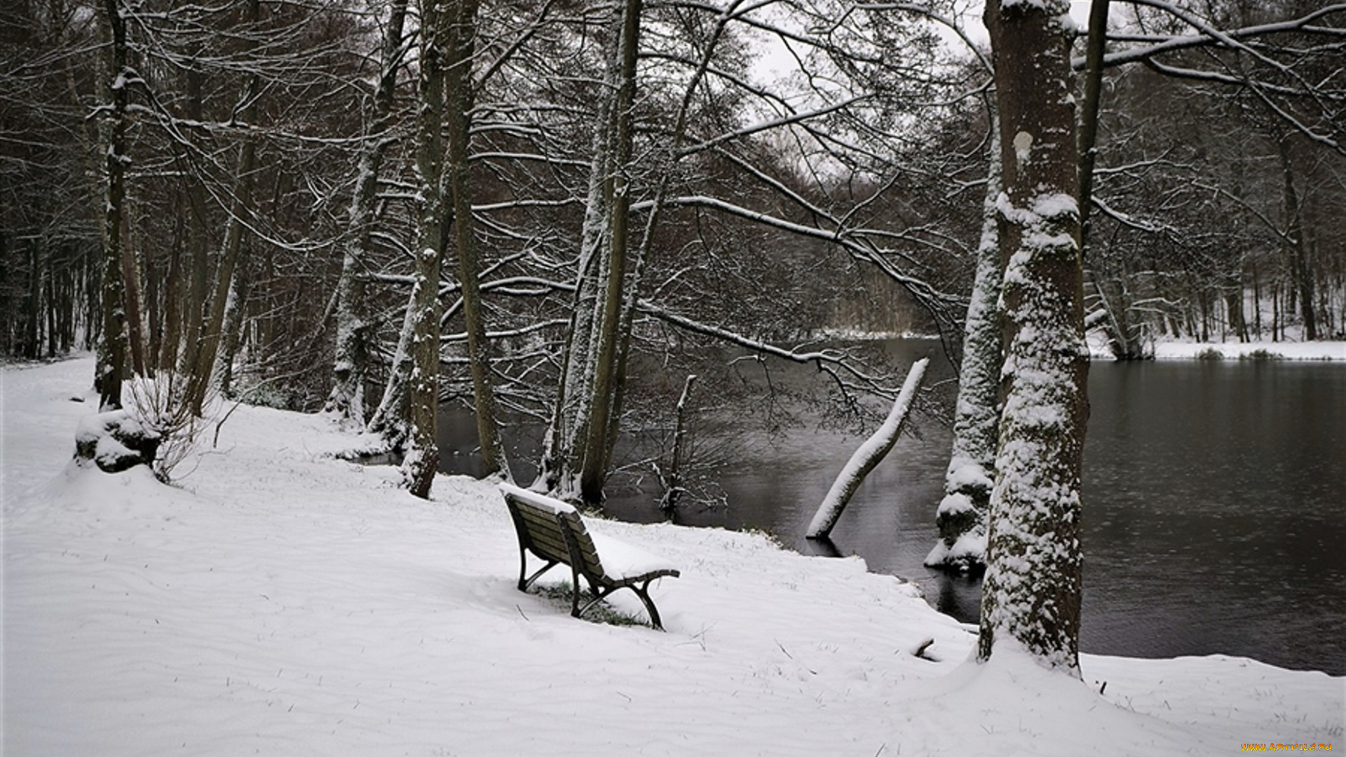 природа, реки, озера, зима, лавочка, лес, снег, деревья