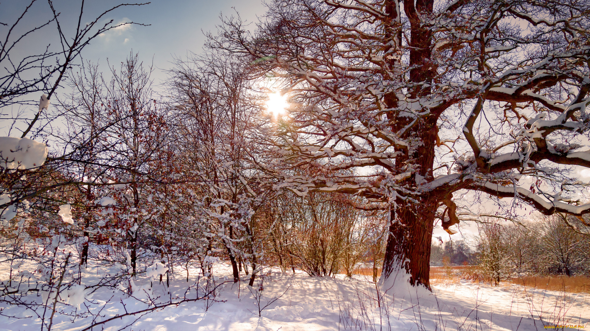 природа, зима, простор