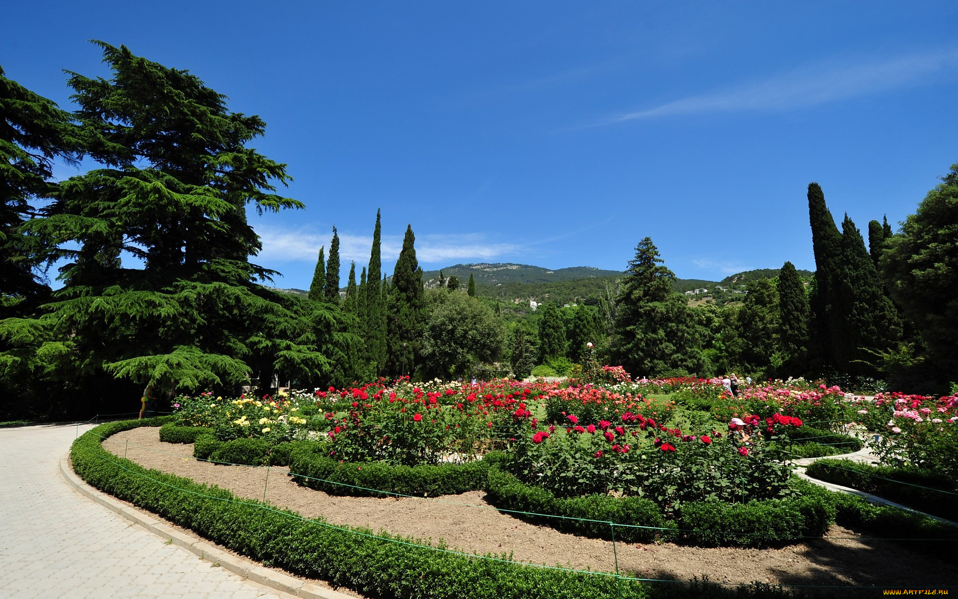 природа, парк, клумбы