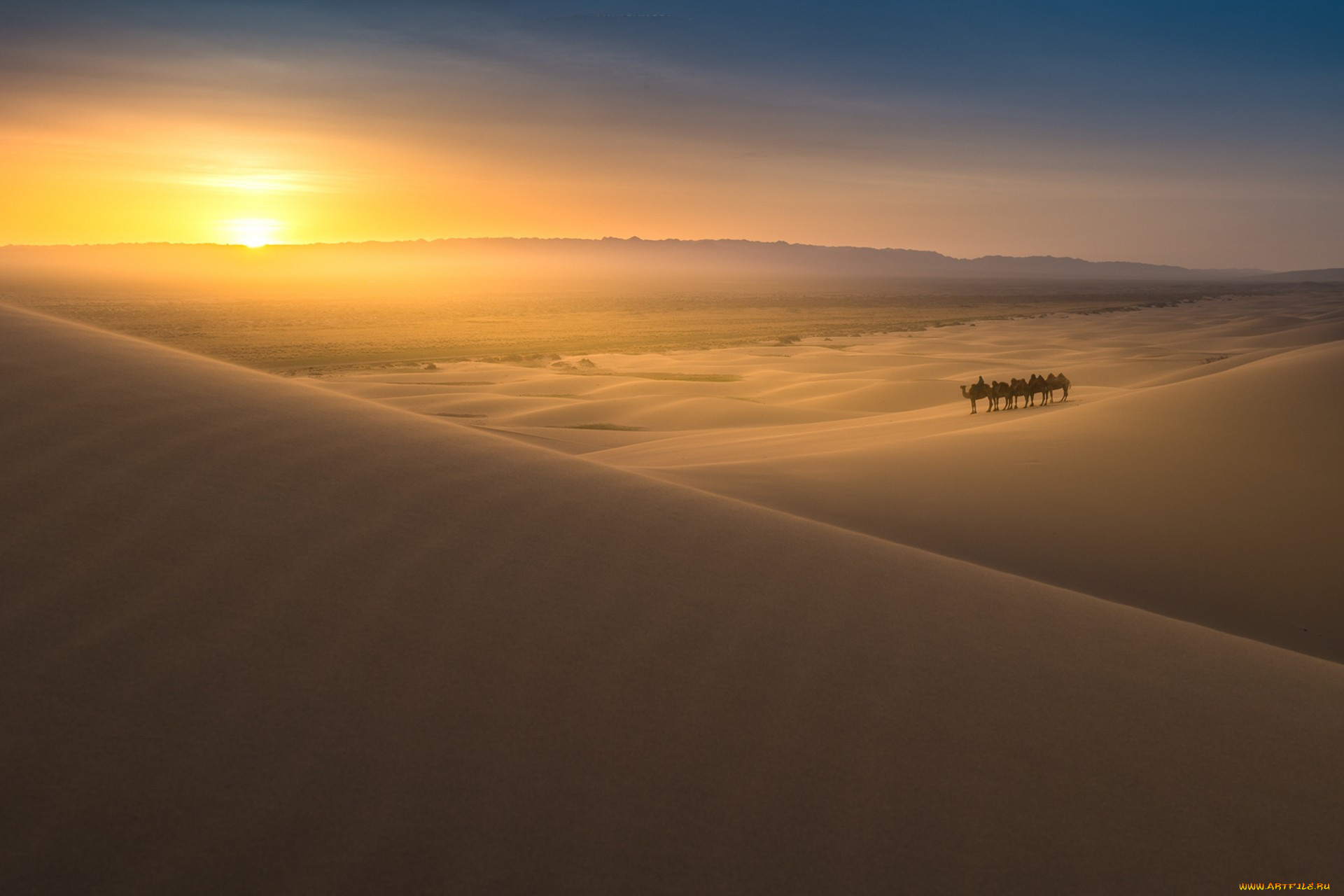 природа, пустыни, простор