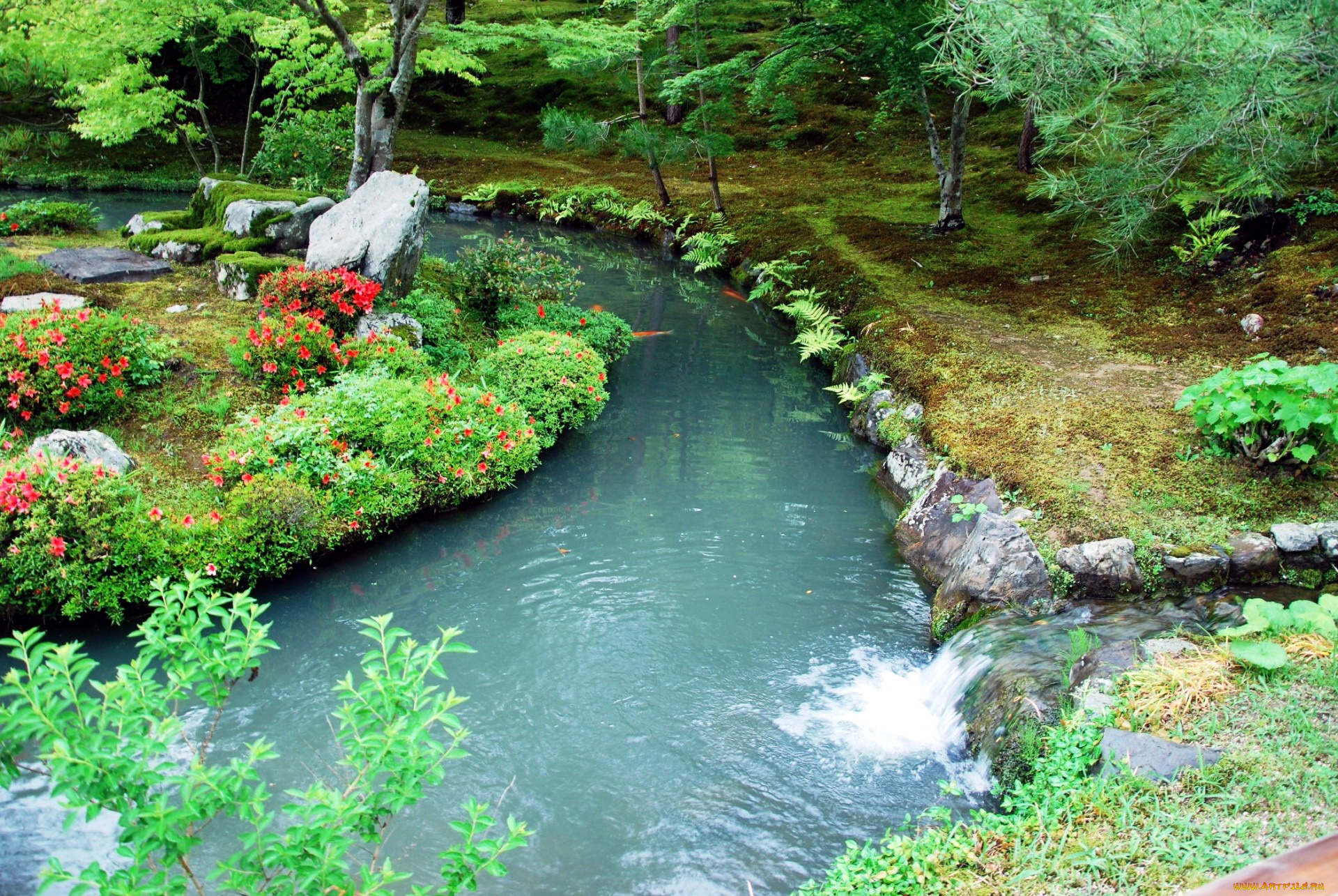 природа, парк, пруд