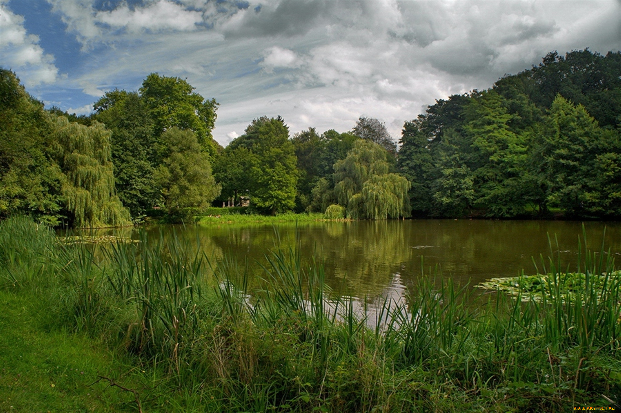 природа, реки, озера, водоем, лето, деревья, озеро