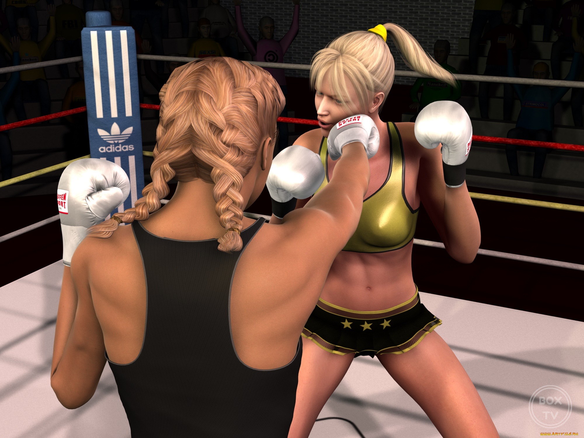 3д, графика, спорт, , sport, фон, взгляд, бокс, ринг, девушки