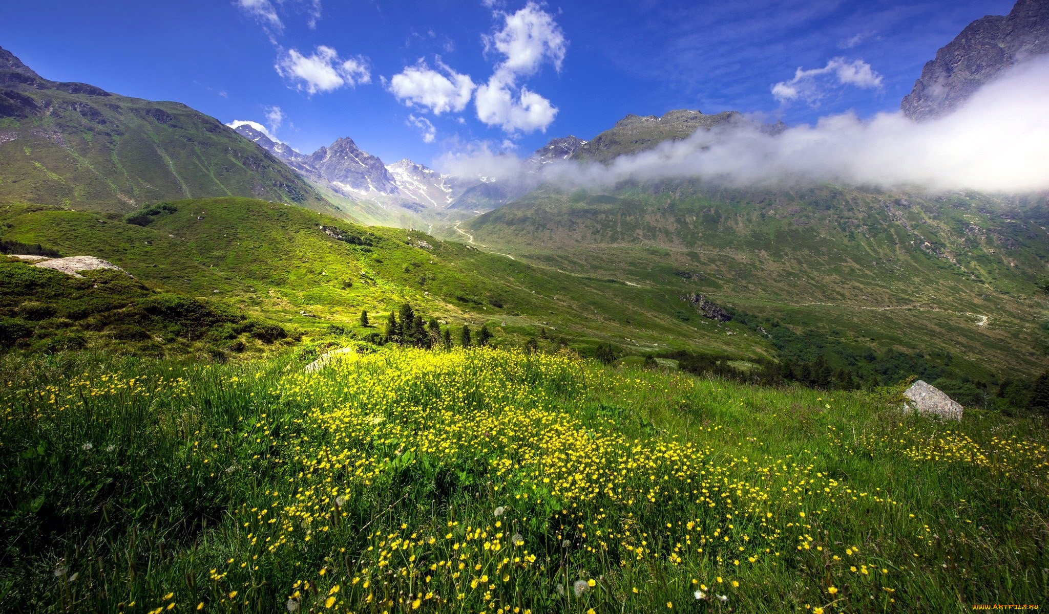 природа, луга, лютики, луг, облака, горы