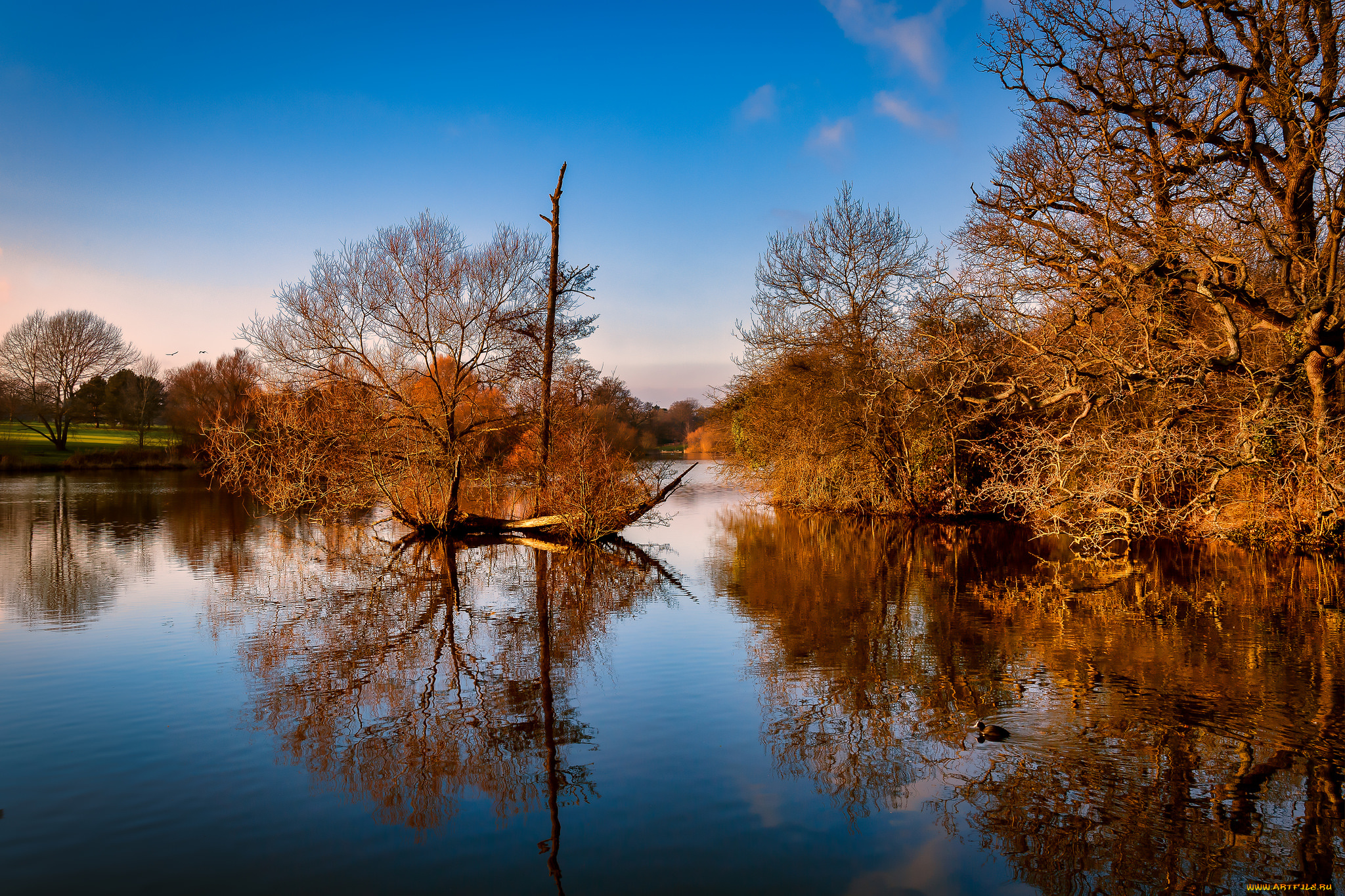 природа, реки, озера, простор