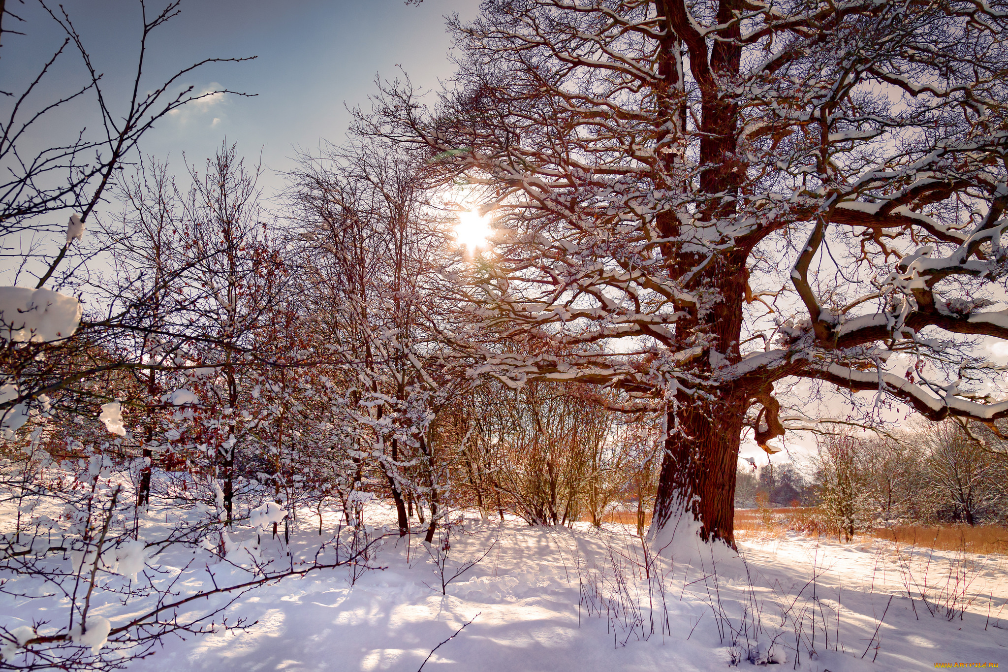 природа, зима, простор