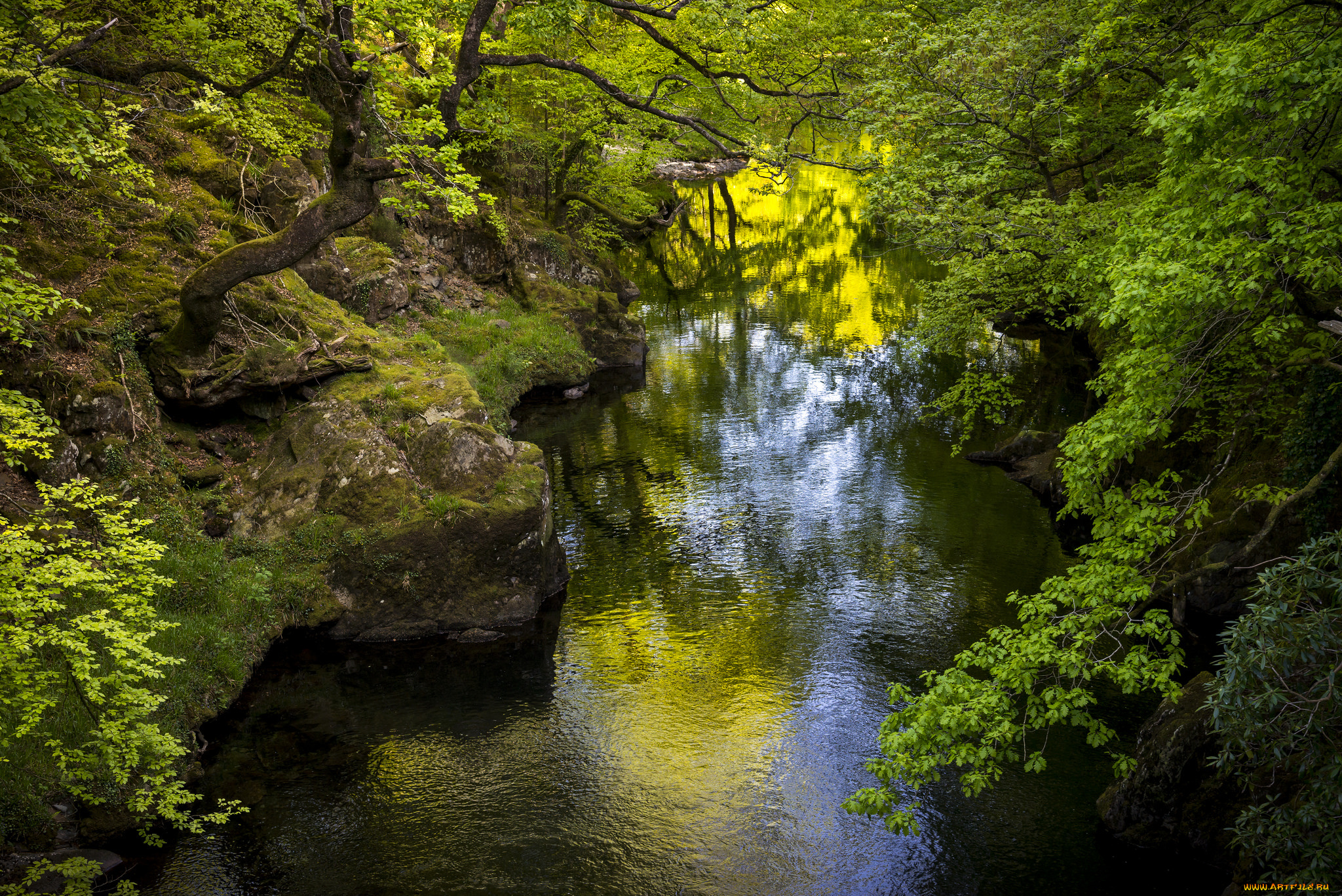 природа, реки, озера, простор