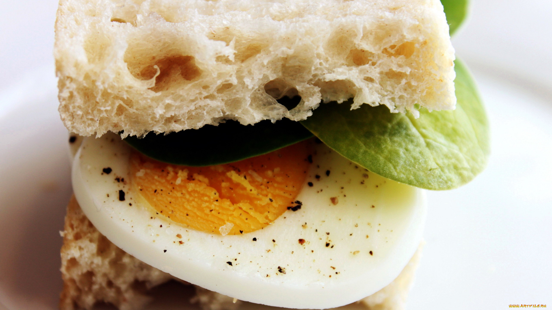 еда, бутерброды, , гамбургеры, , канапе, сэндвич