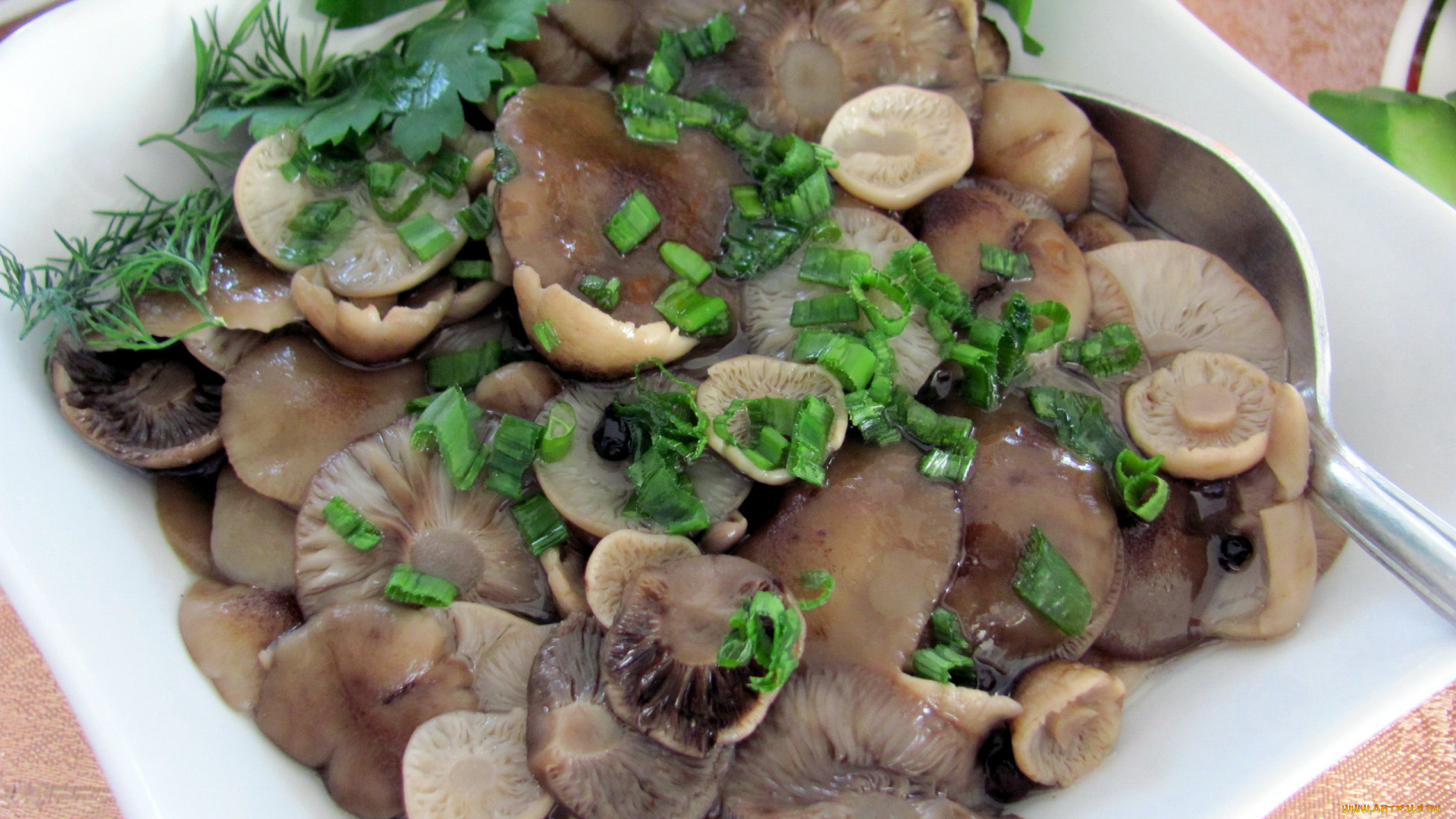 еда, грибы, , грибные, блюда, маринованные, опята