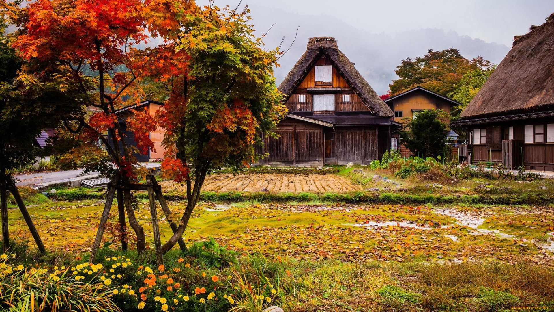 города, -, здания, , дома, осень