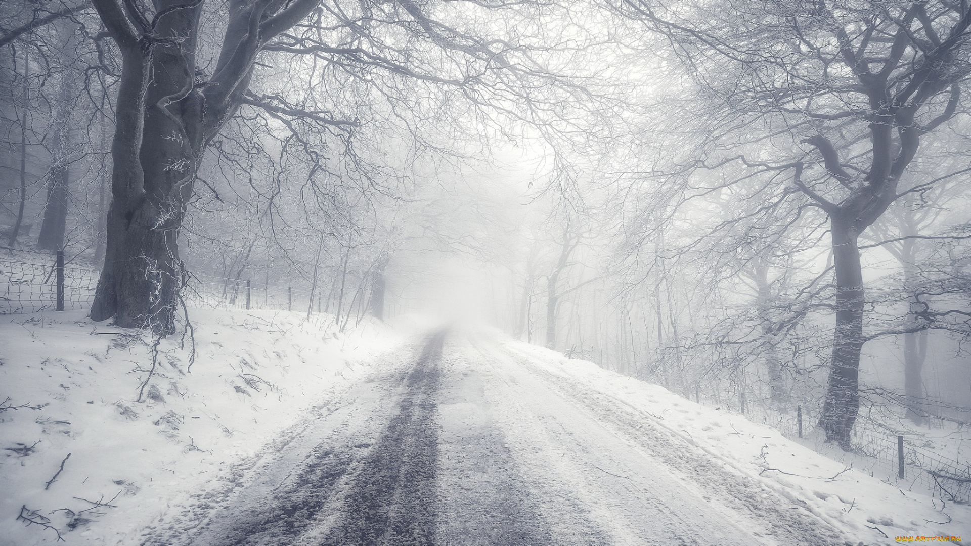 природа, дороги, снег, деревья