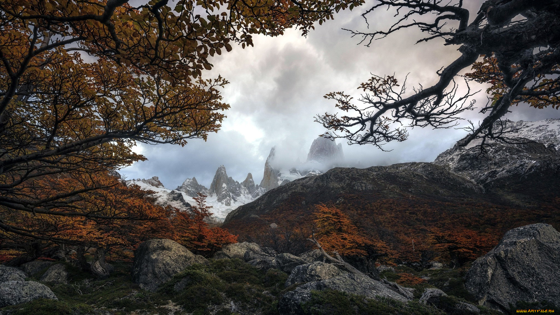 природа, горы, туман, камни