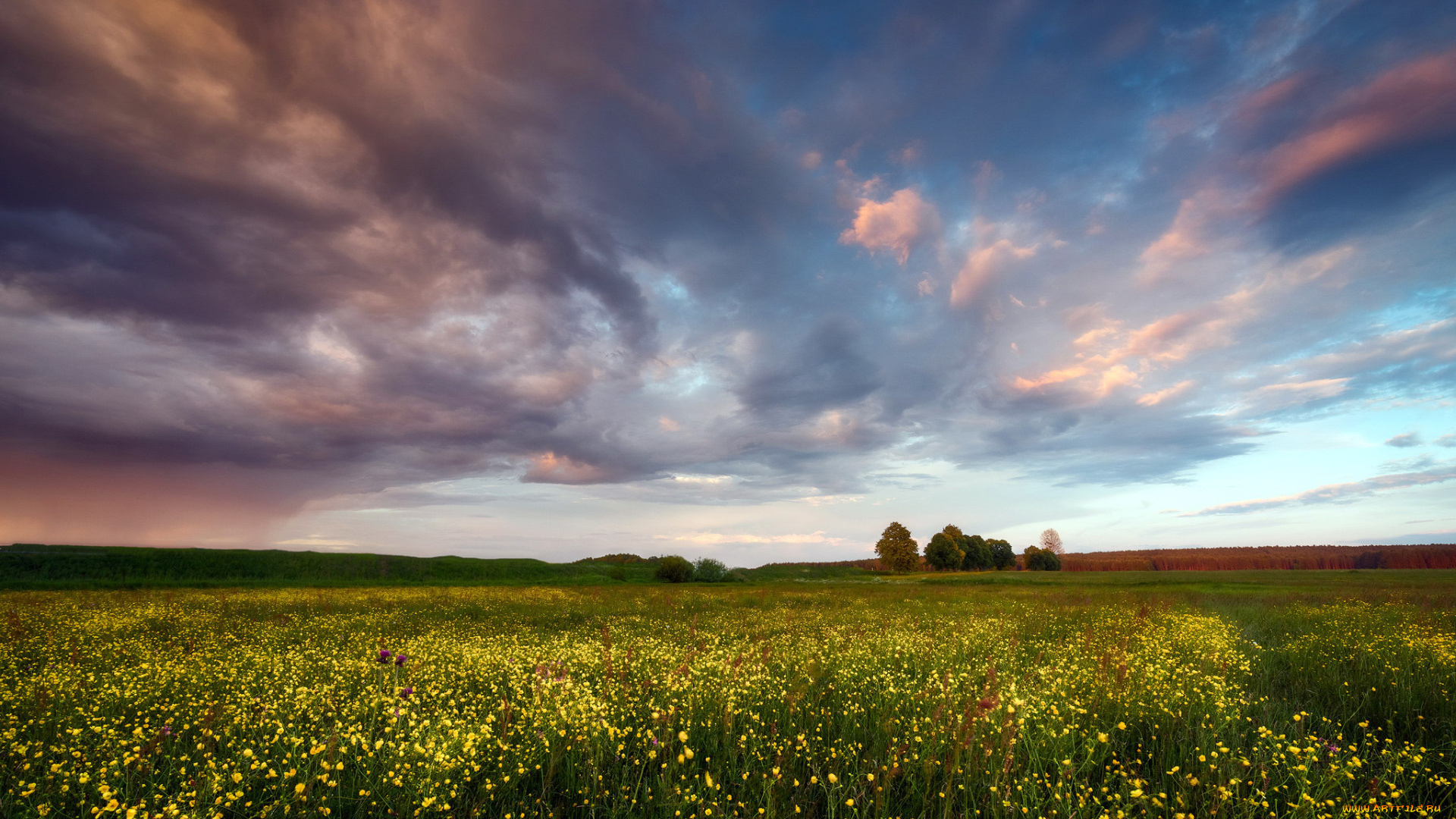 природа, луга, облака, луг, лето