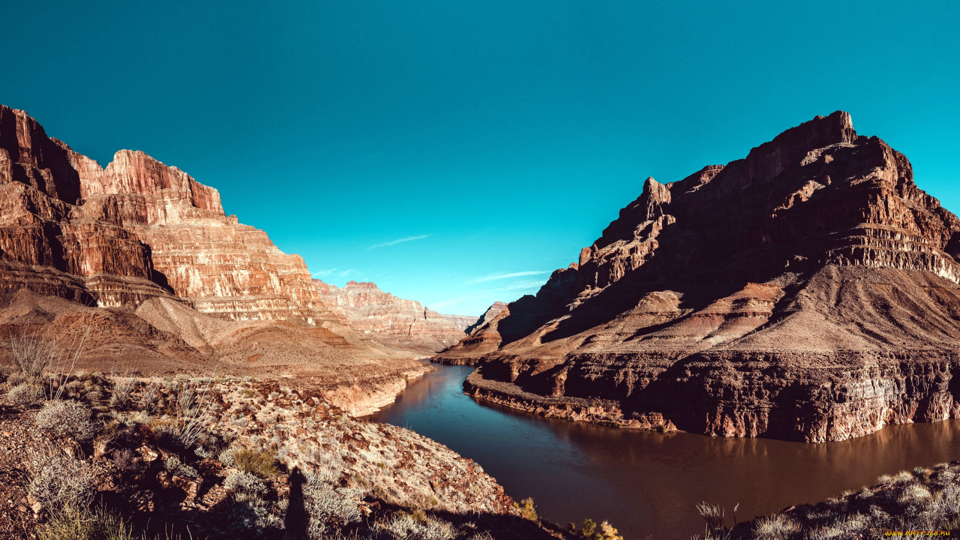 природа, реки, озера, река