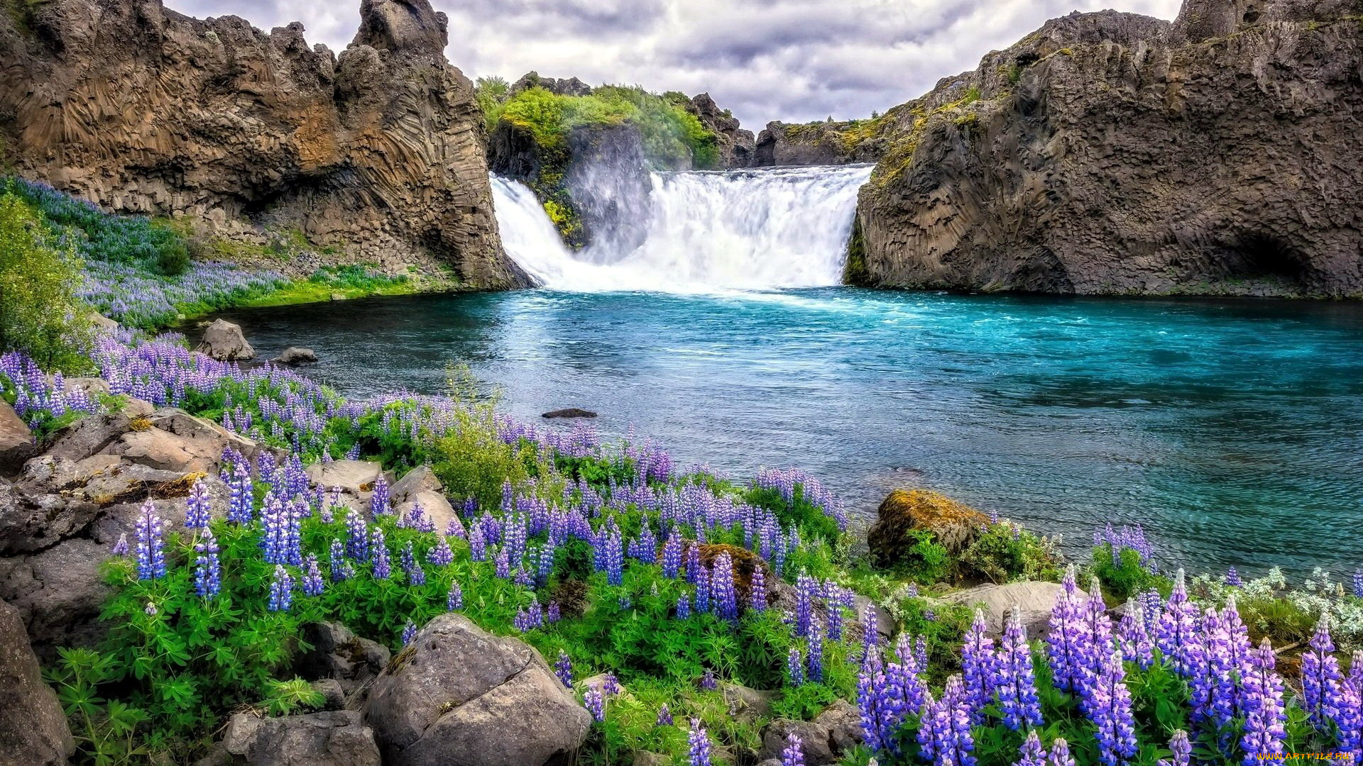 природа, водопады, водопад, камни, люпин