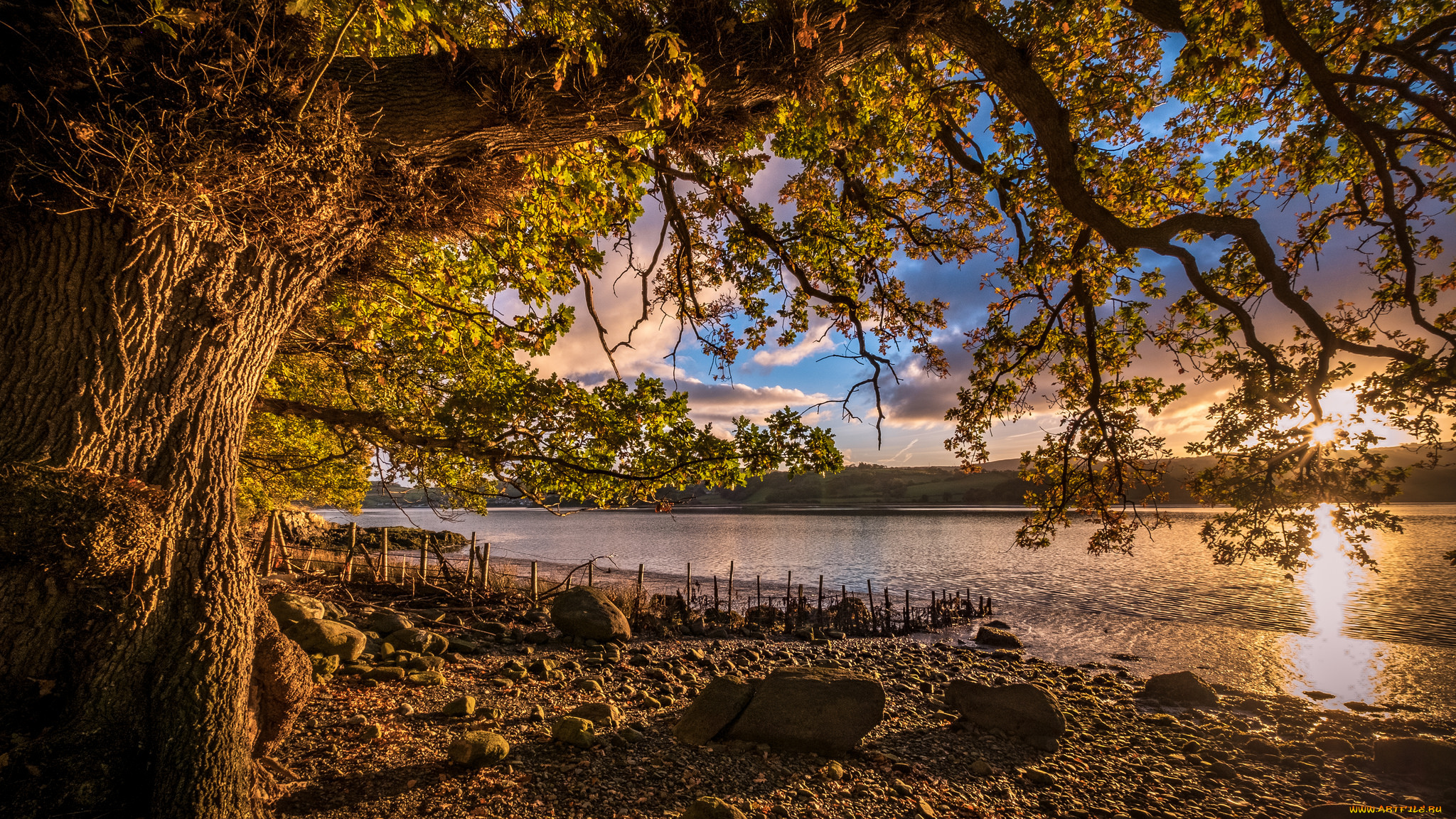 природа, реки, озера, простор