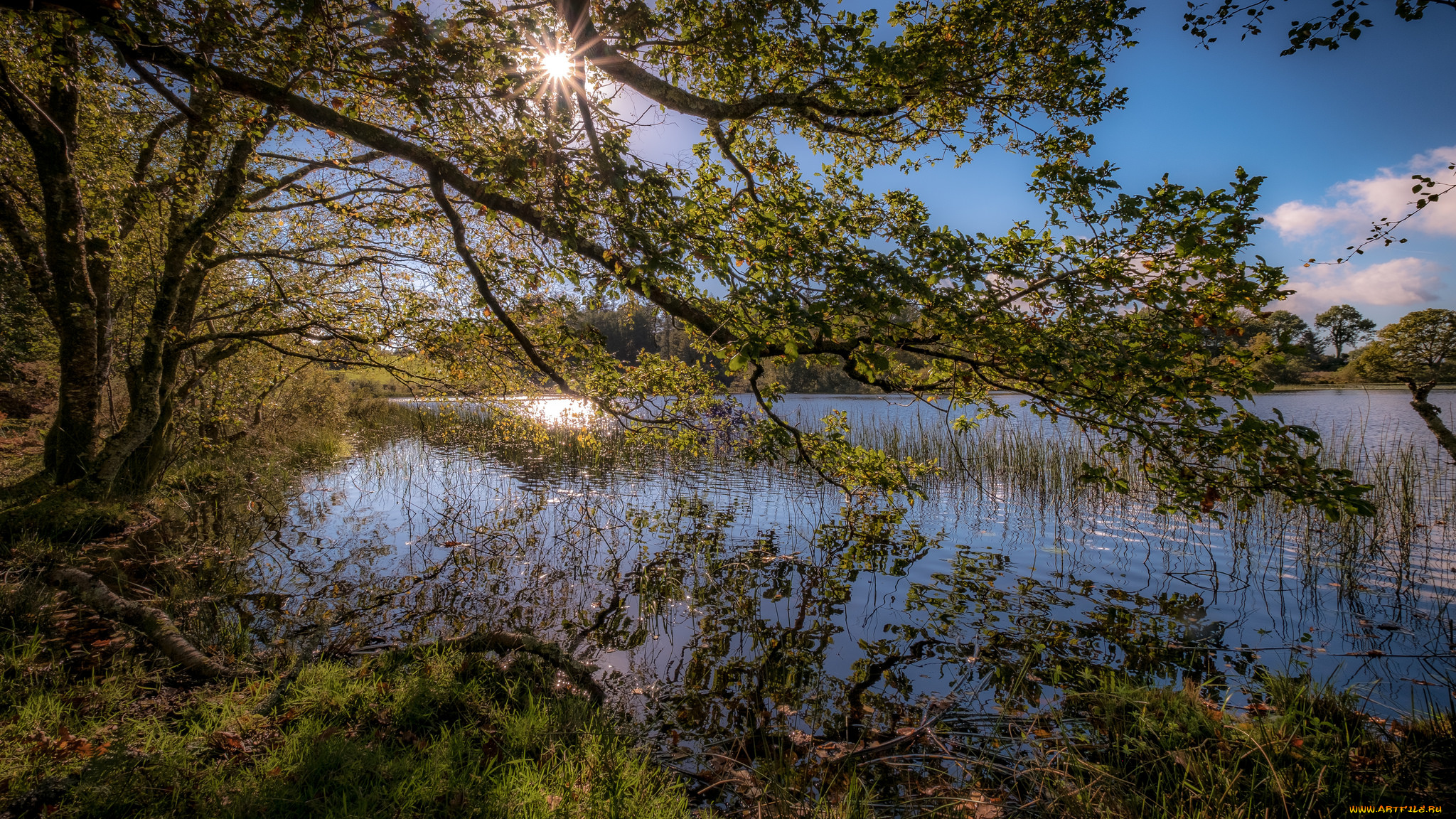 природа, реки, озера, простор