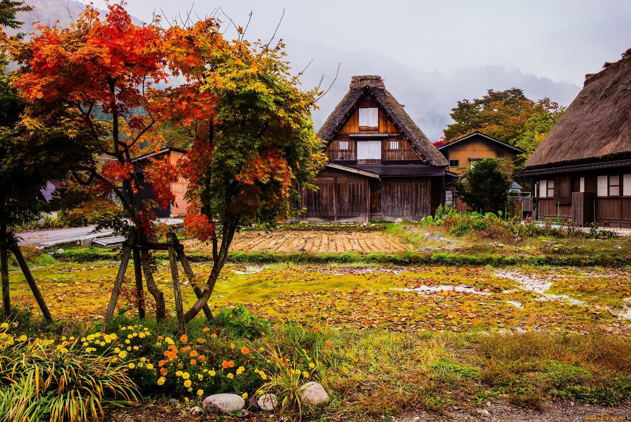 города, -, здания, , дома, осень