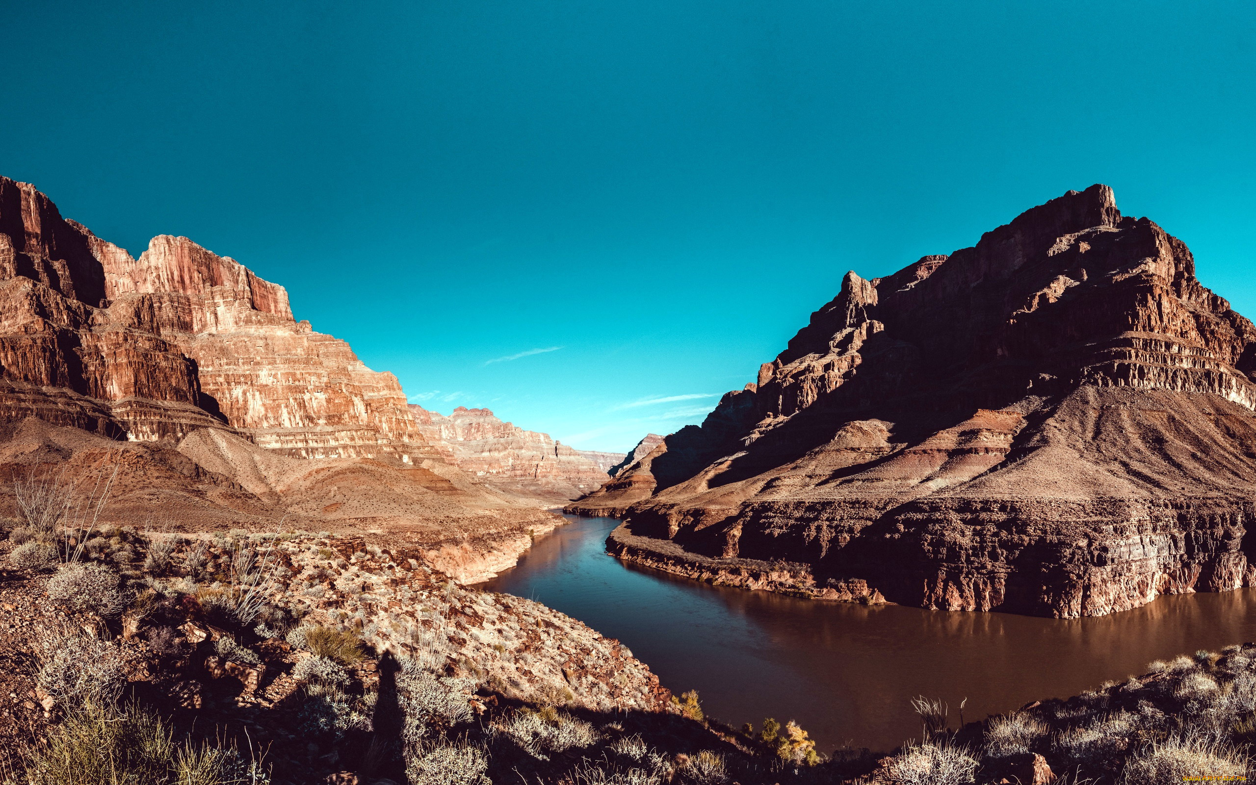 природа, реки, озера, река