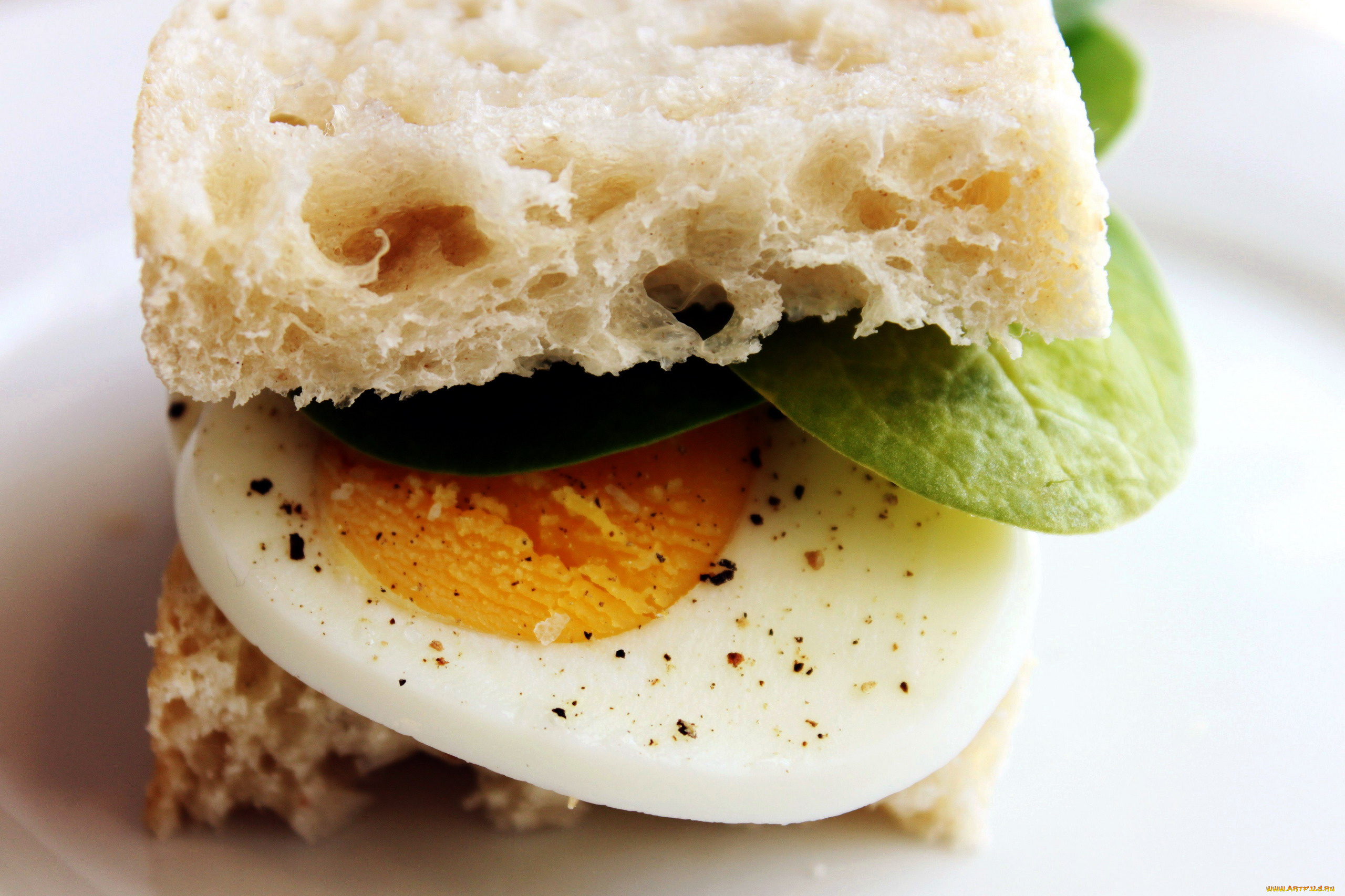 еда, бутерброды, , гамбургеры, , канапе, сэндвич