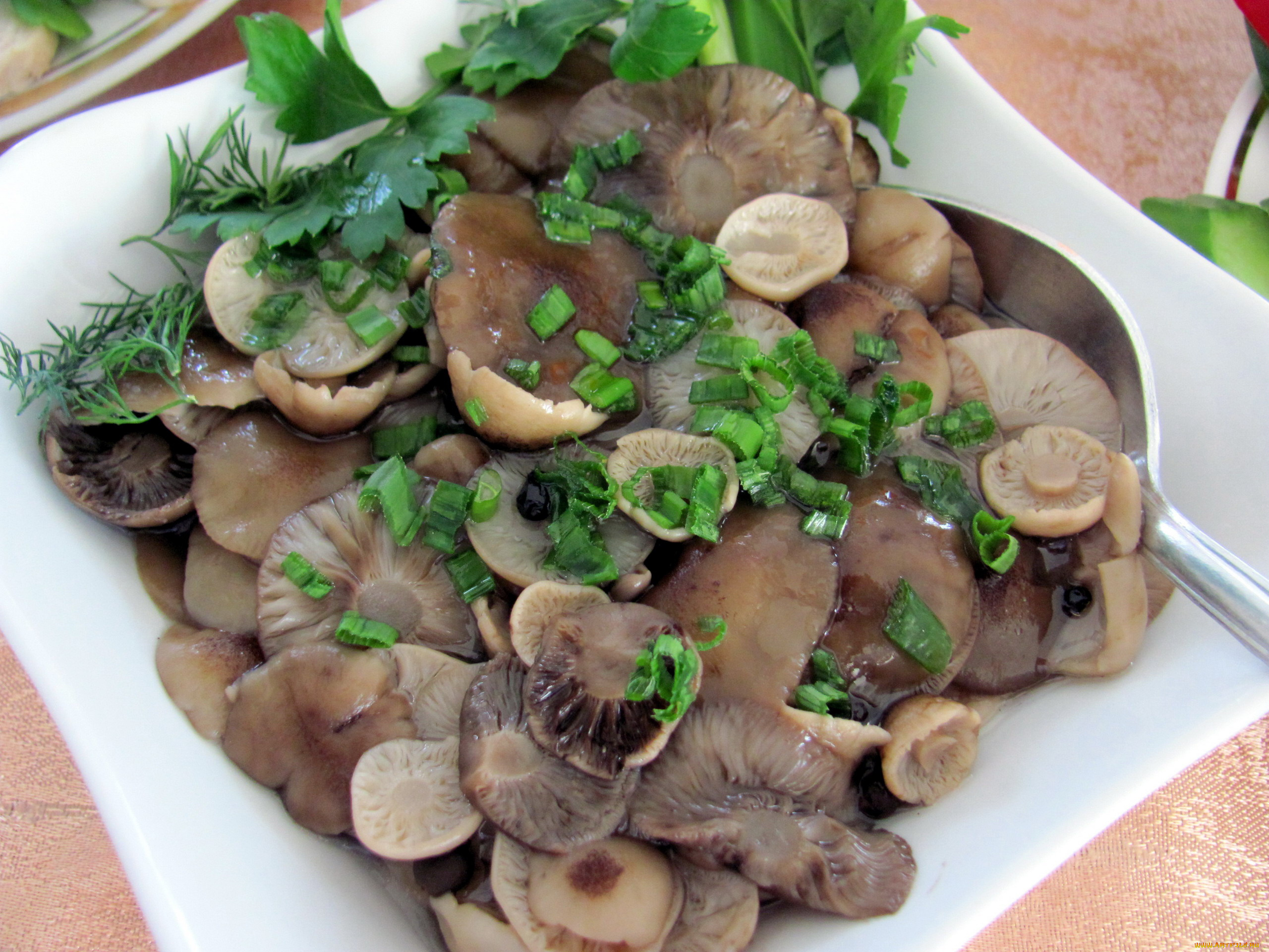 еда, грибы, , грибные, блюда, маринованные, опята