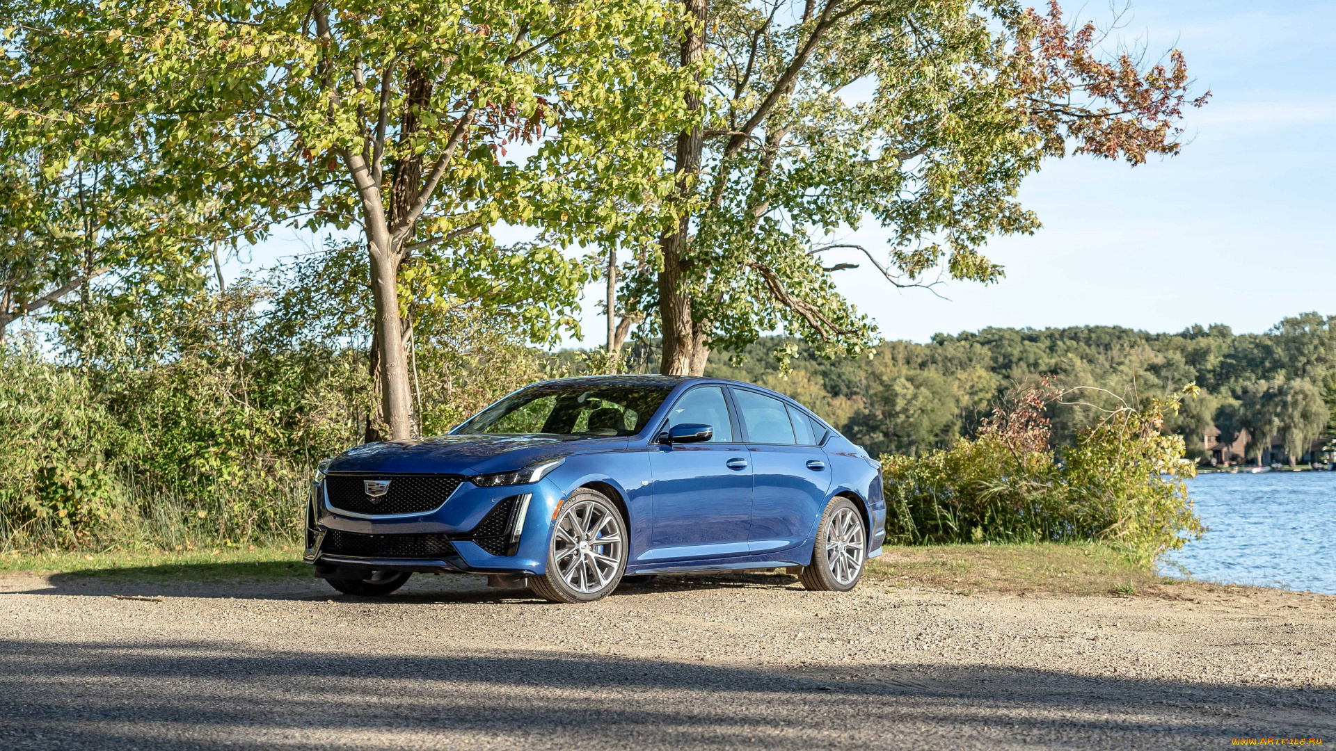 автомобили, cadillac