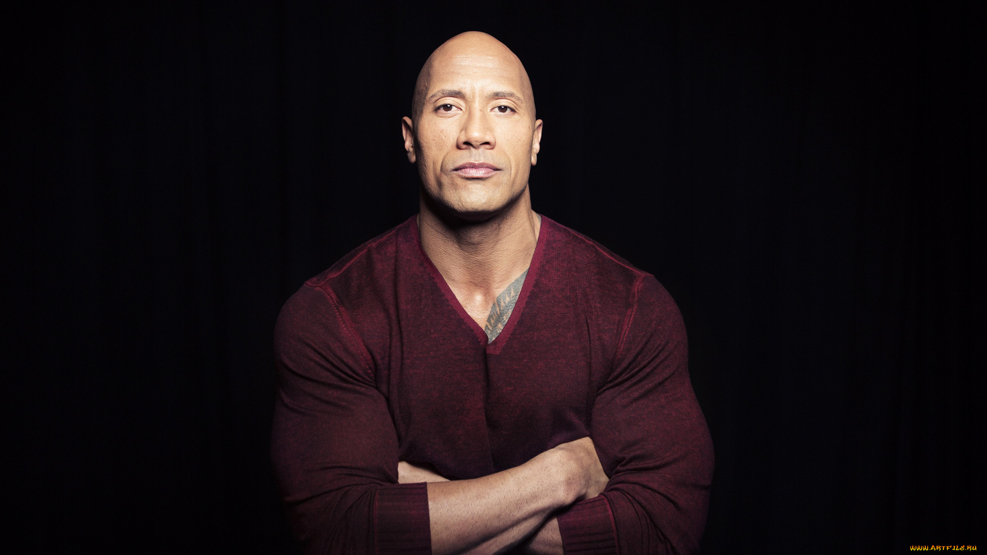 мужчины, dwayne, johnson, , the, rock, актер, свитер