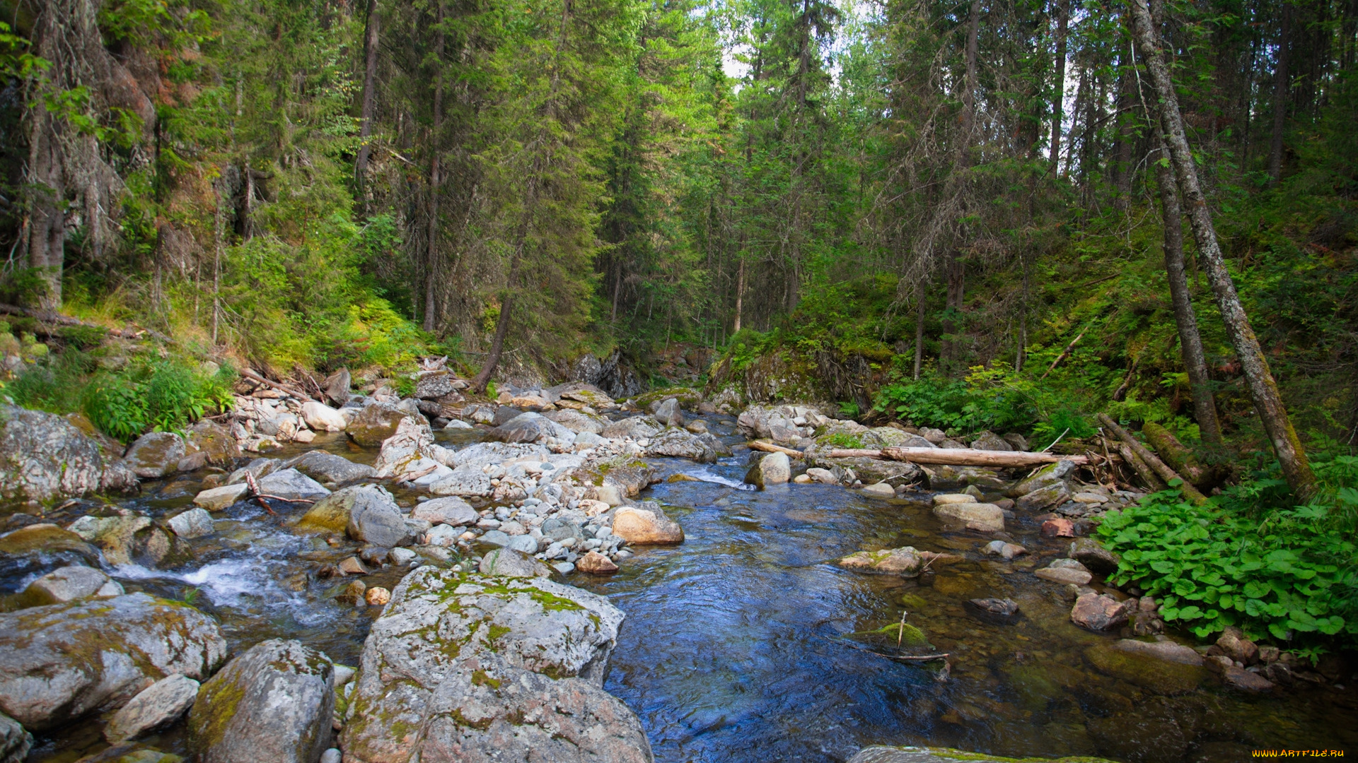жигалан, северный, урал, природа, реки, озера, жигалан, северный, урал, россия, лес, река, камни