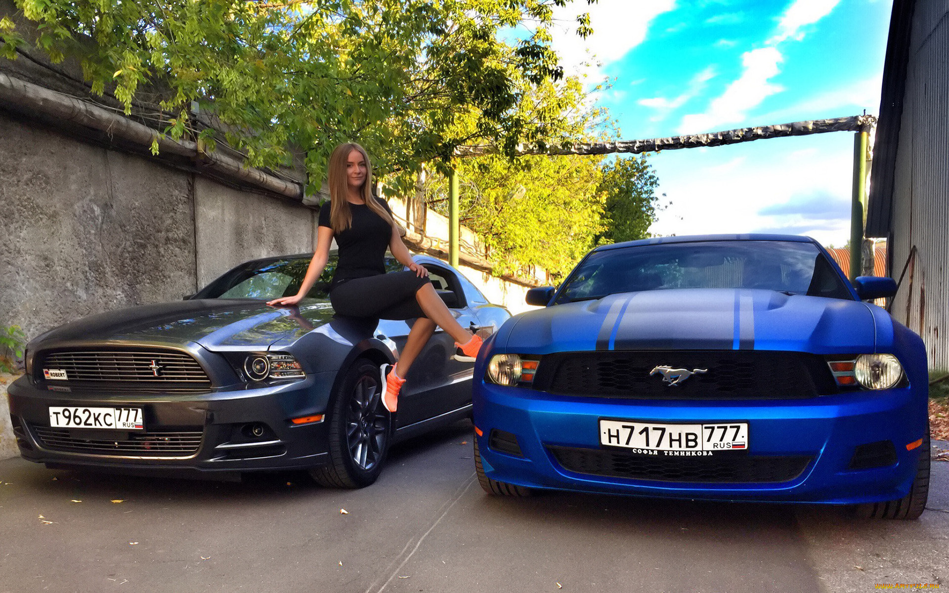 автомобили, -авто, с, девушками, софья, темникова, sofia, temnikova