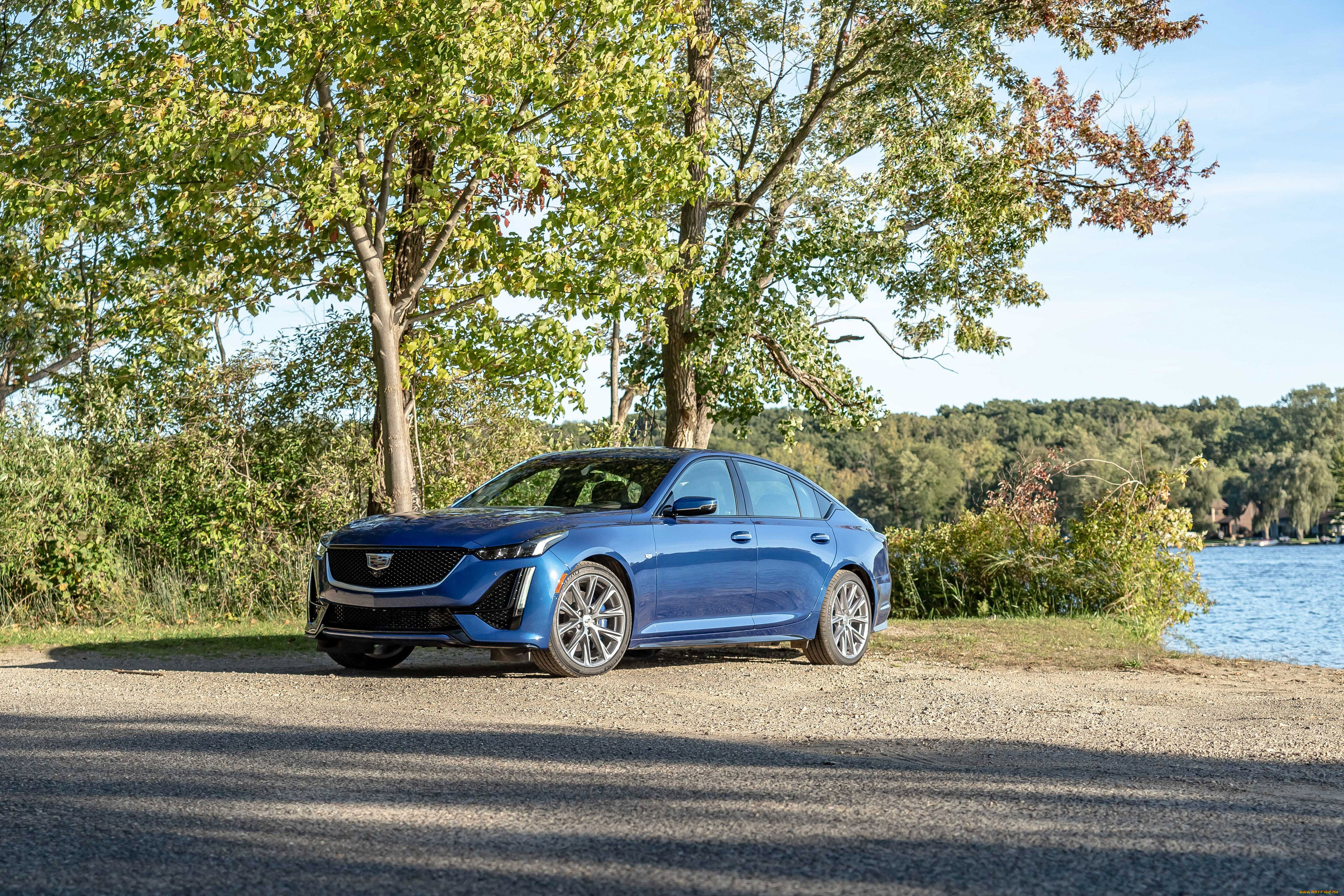 автомобили, cadillac