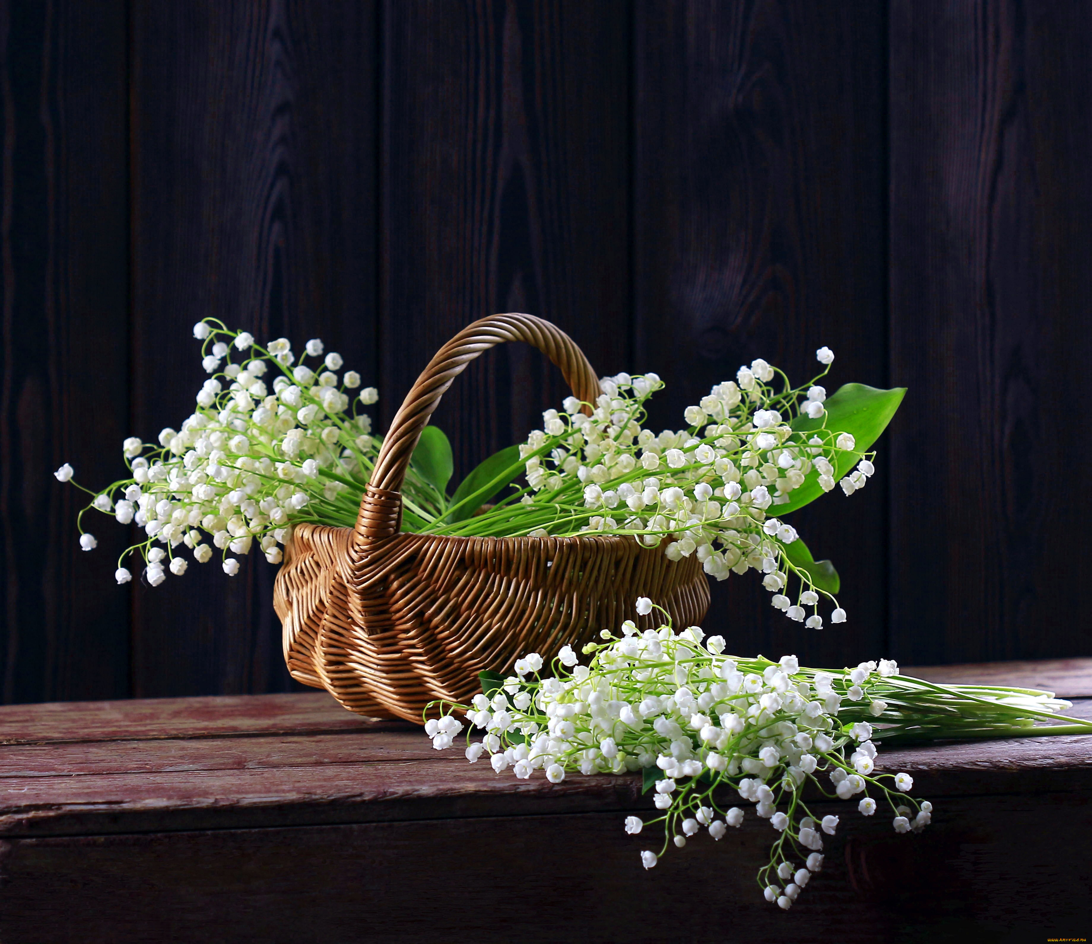 цветы, ландыши, корзинка, майские, весна