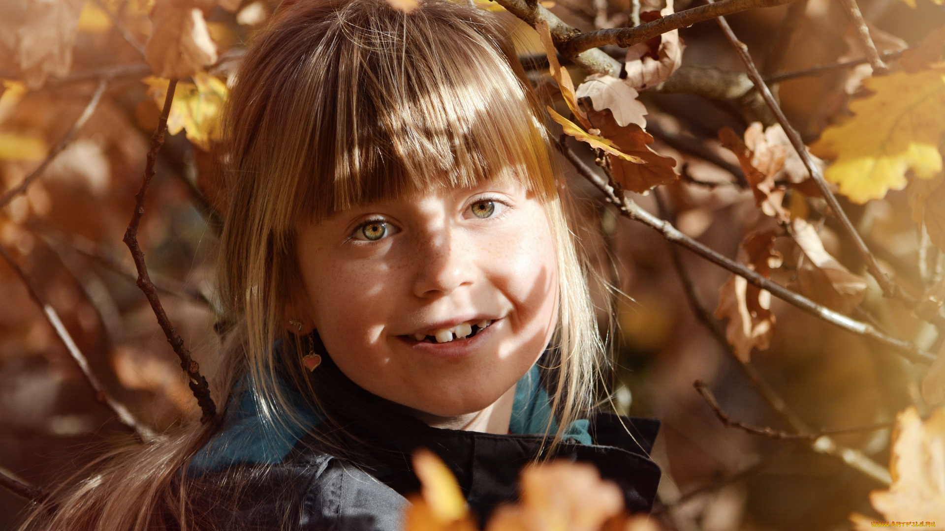 разное, дети, девочка, лицо, ветки, осень