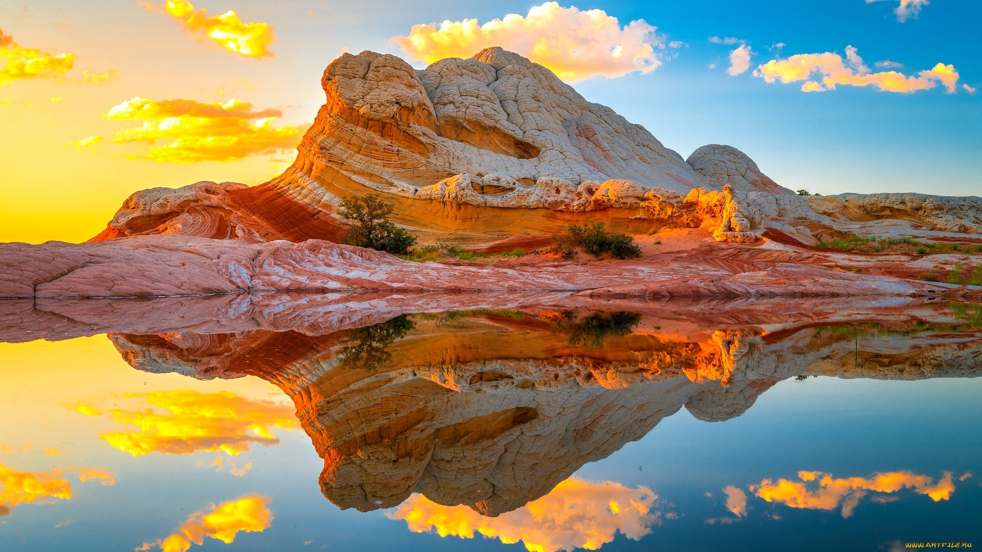 white, pocket, vermilion, cliffs, national, monument, arizona, природа, горы, white, pocket, vermilion, cliffs, national, monument