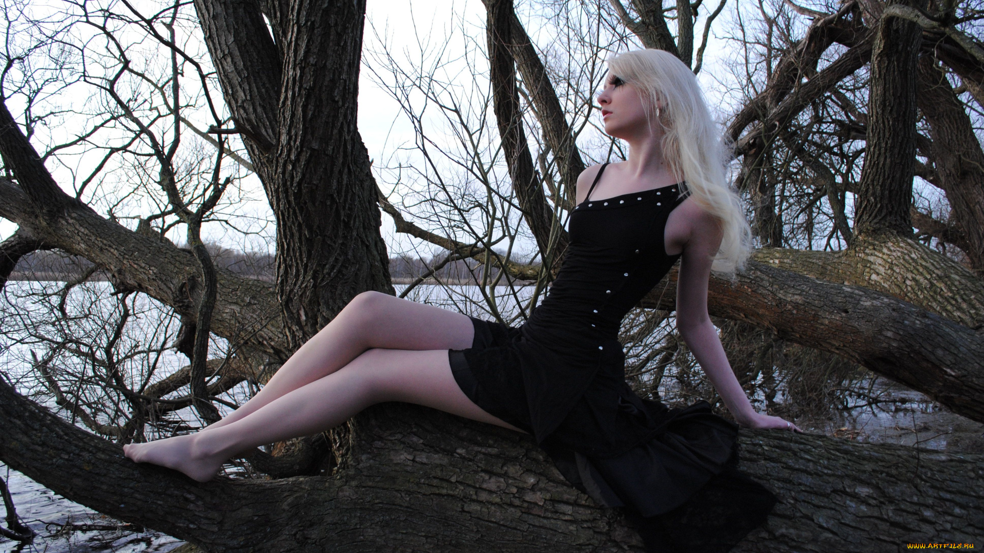 maria, amanda, schaub, девушки, девушка, женщина, блондинка, светловолосая, сексуальная, модель, звезда, позирует, разная, обувь, верхняя, стильная, одежда, нижнее, эротическое, бельё, трусы, лифчик, колготки, чулки, аксессуары, макияж, и, множество, элементов, на, фотографии