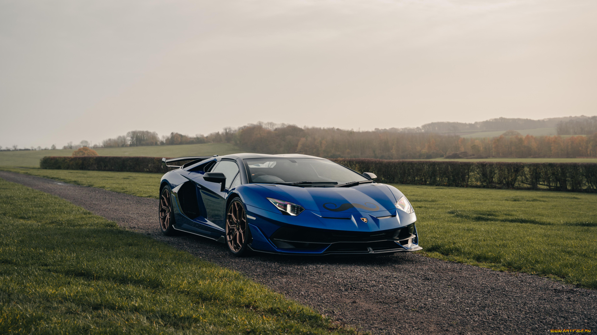 lamborghini, aventador, svj, автомобили, lamborghini, aventador, svj, супeркар, авeнтадoр, синий, природа